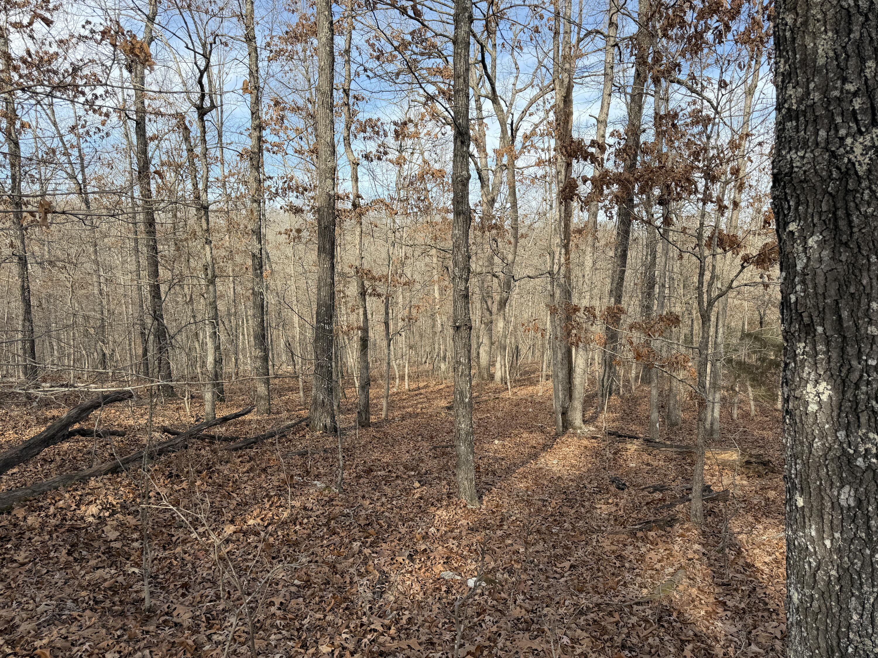 main property photo 67