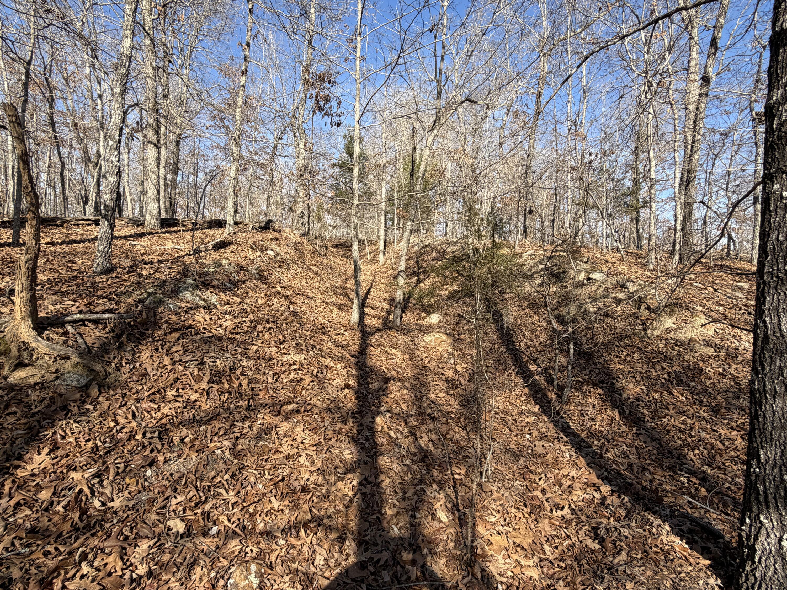 main property photo 69