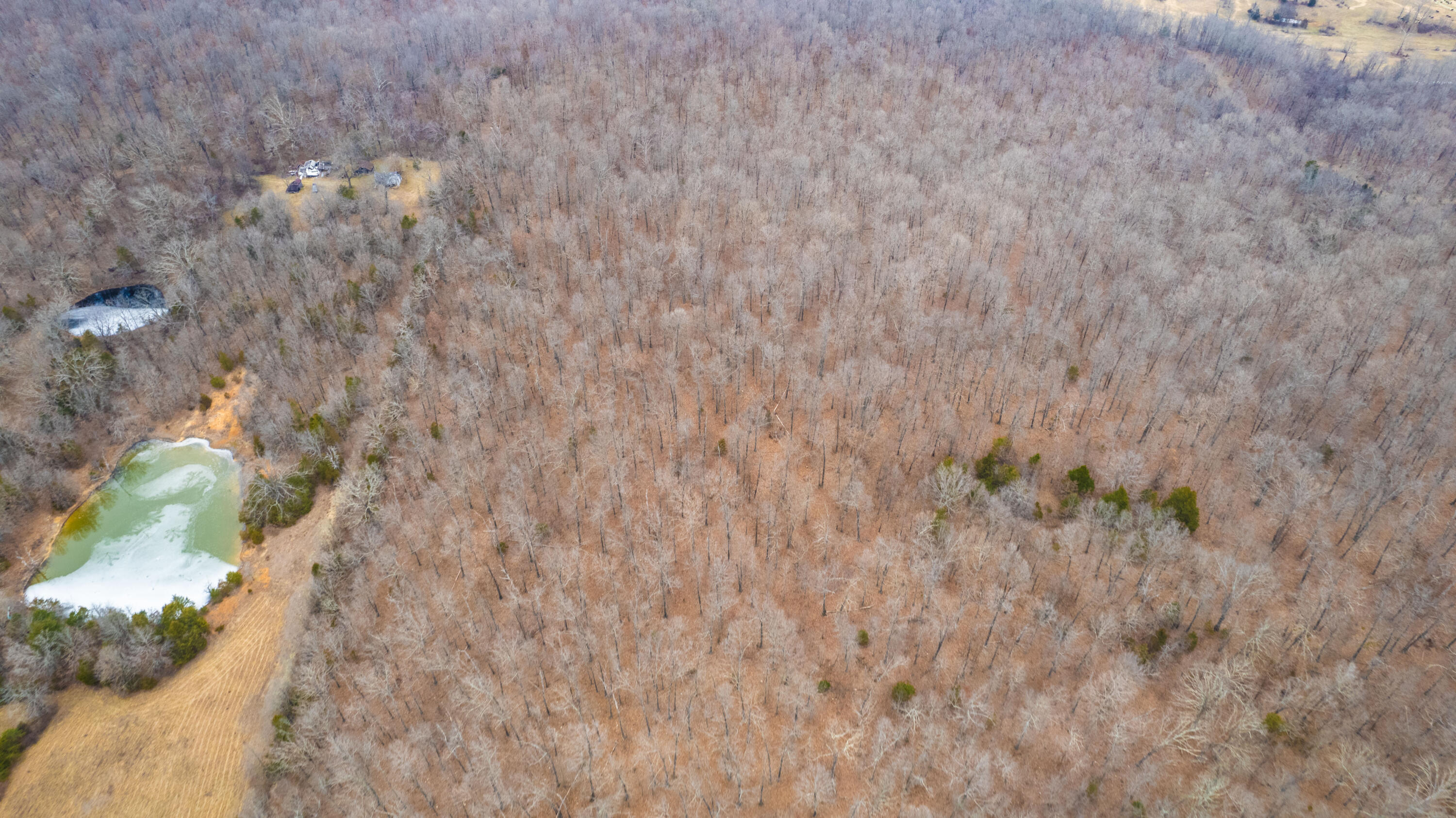 main property photo 70