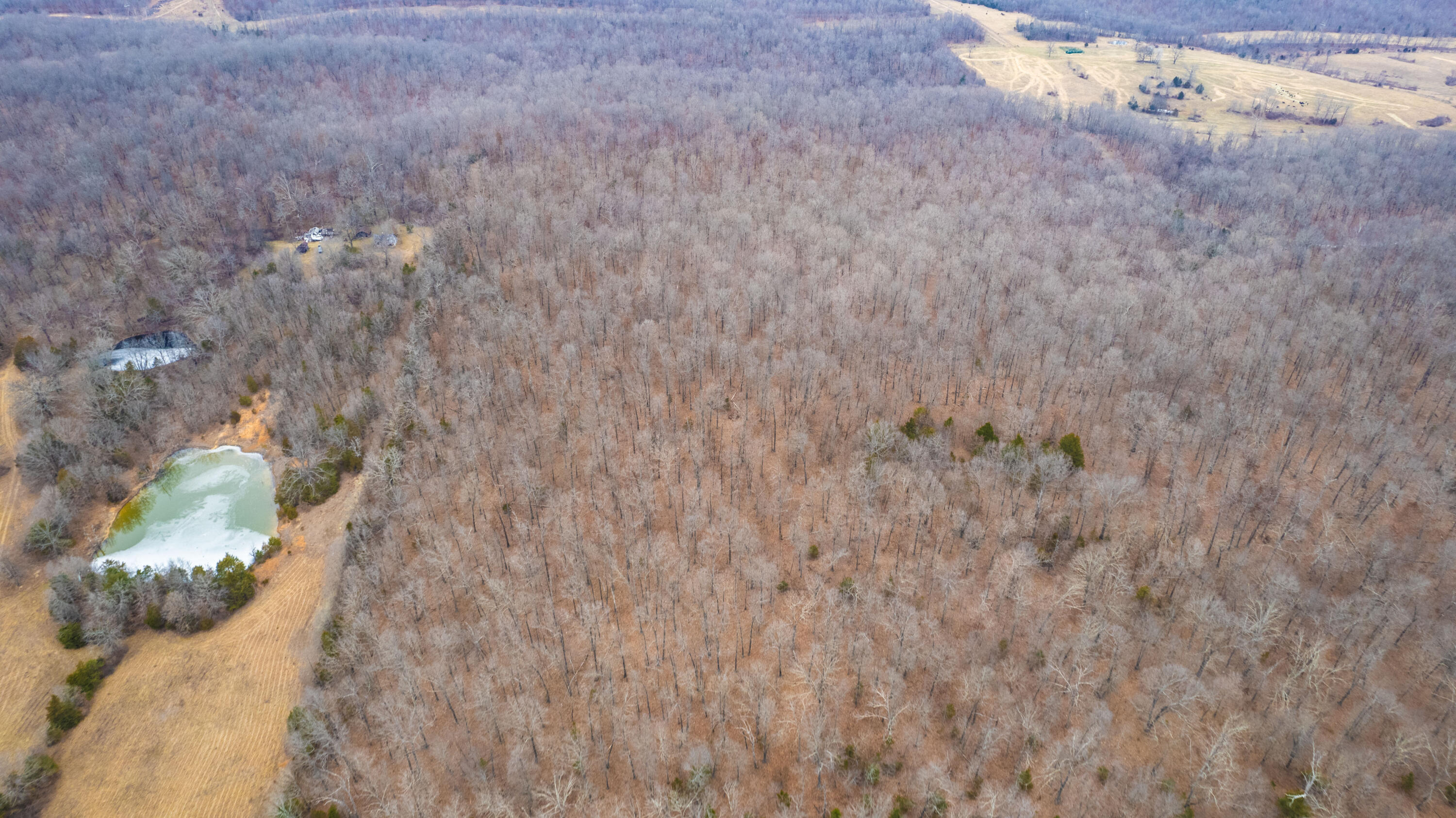 main property photo 75