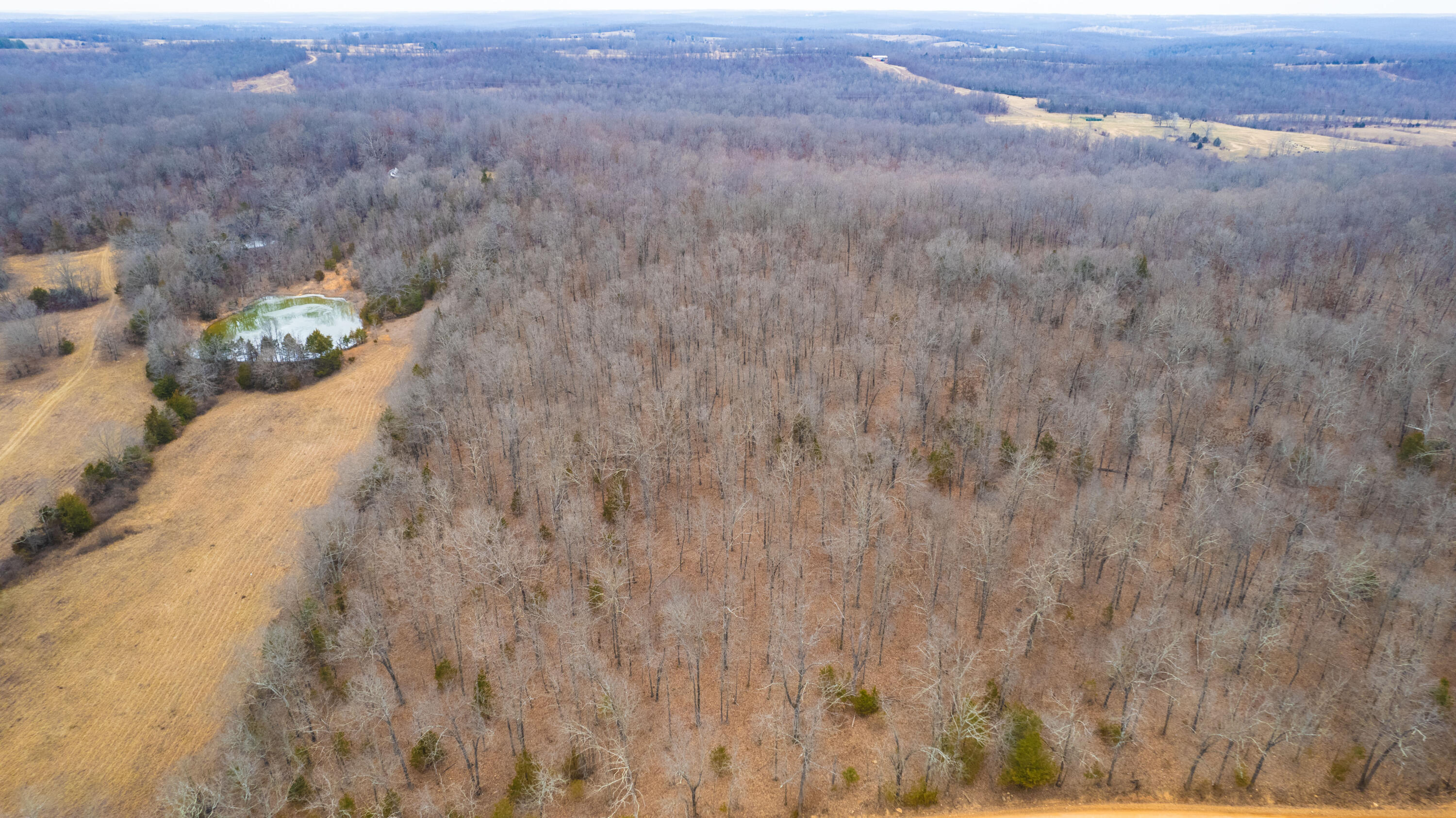 main property photo 78
