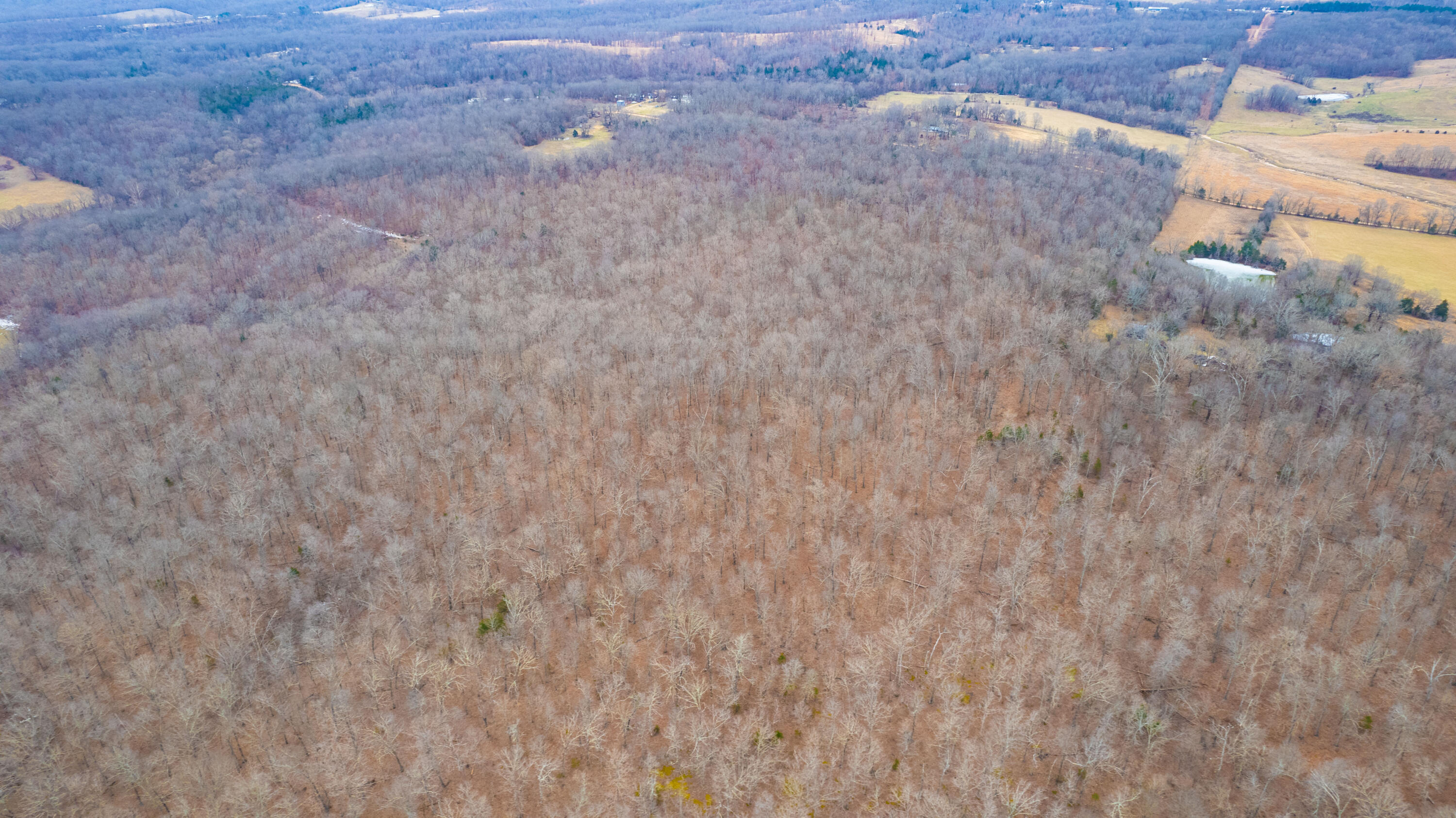main property photo 79
