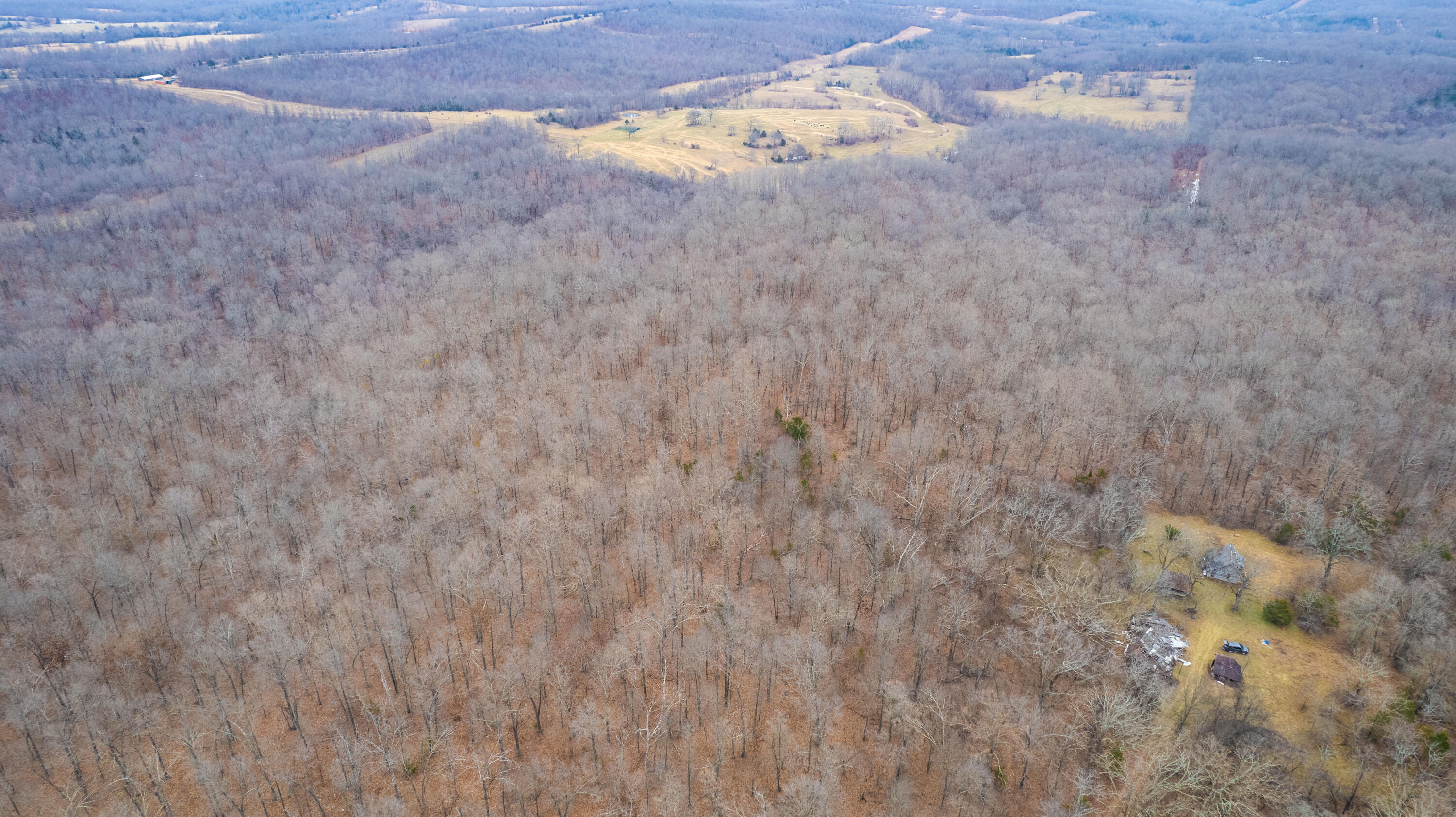 main property photo 83