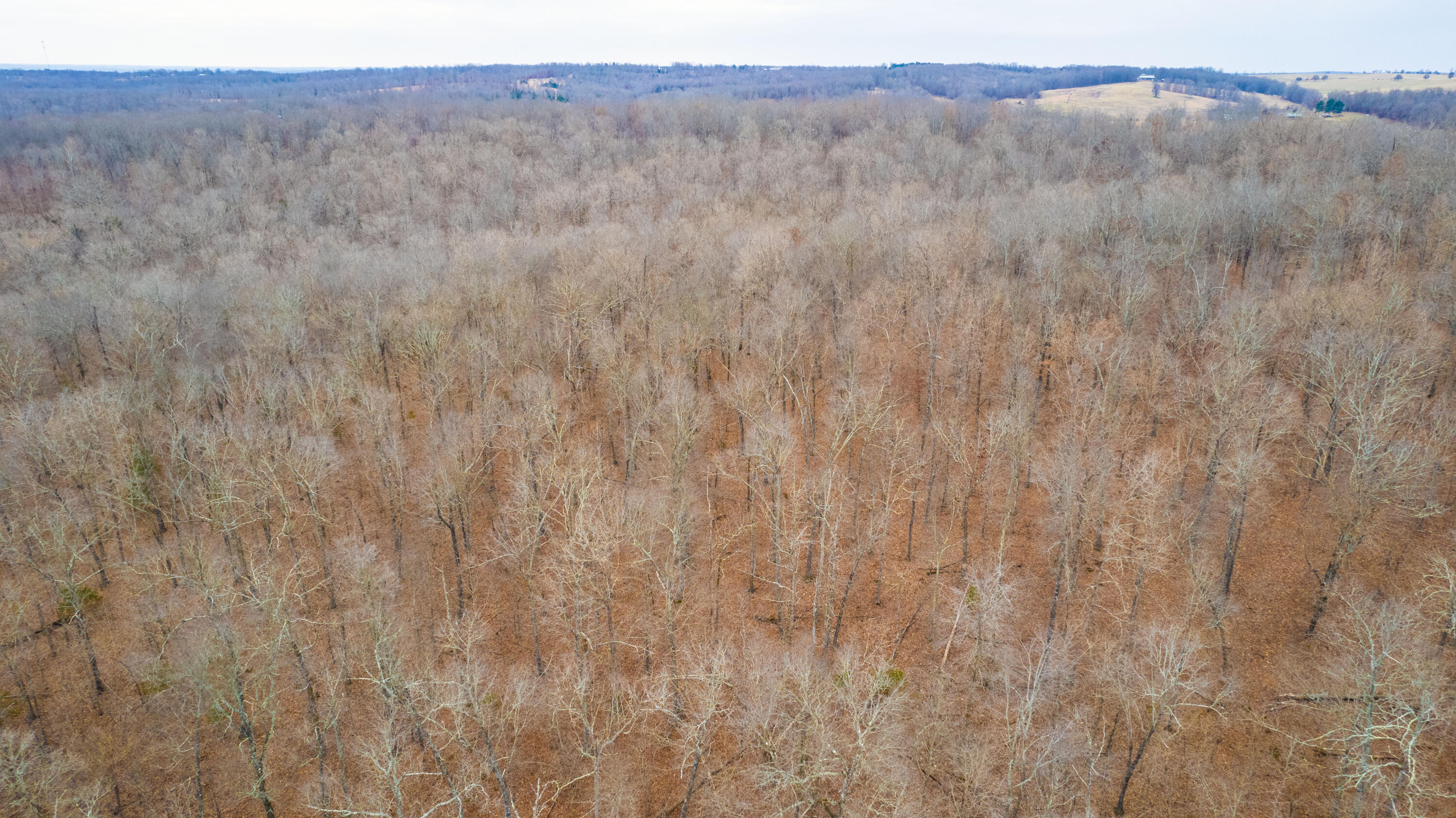 main property photo 85