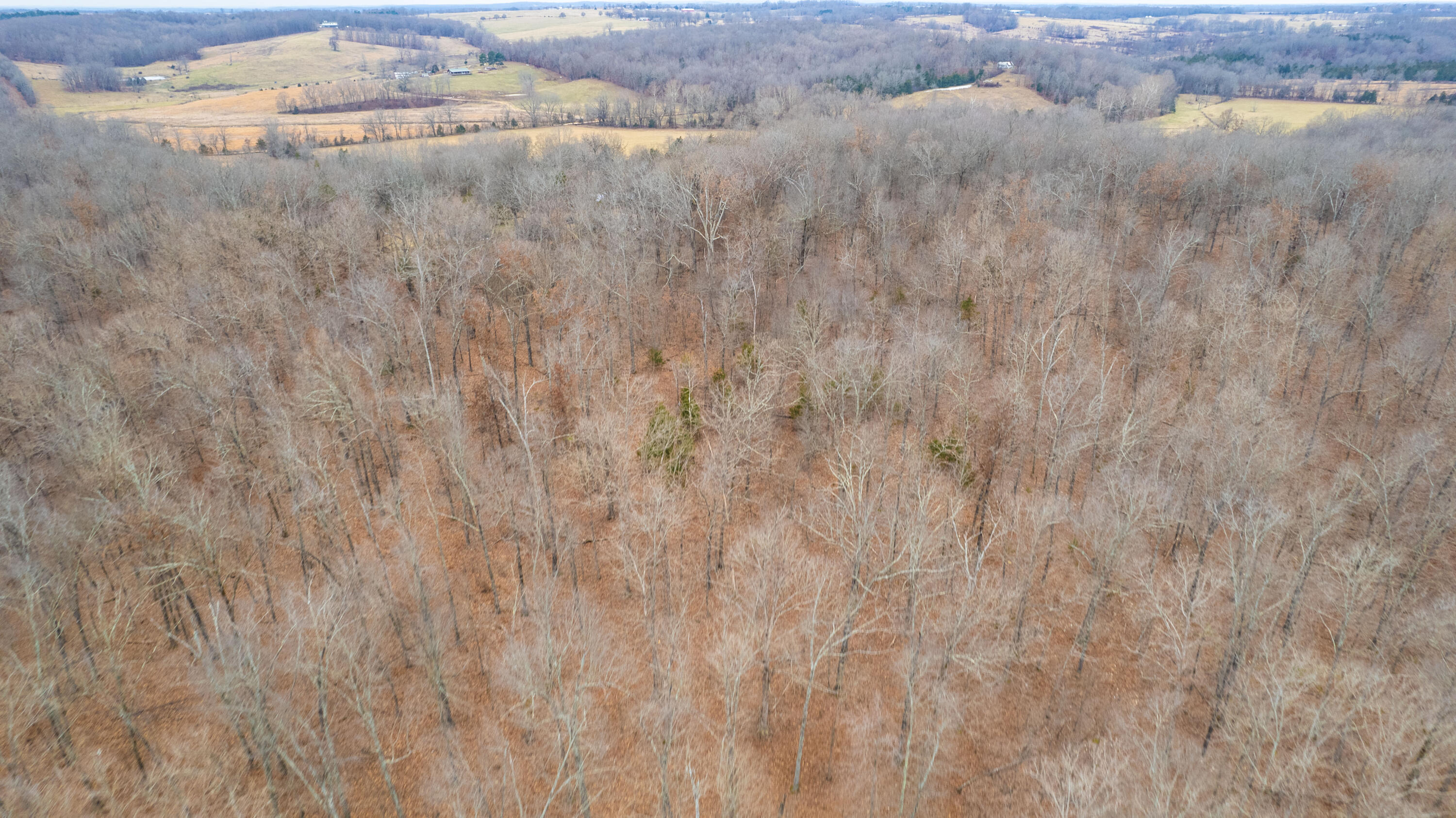 main property photo 87