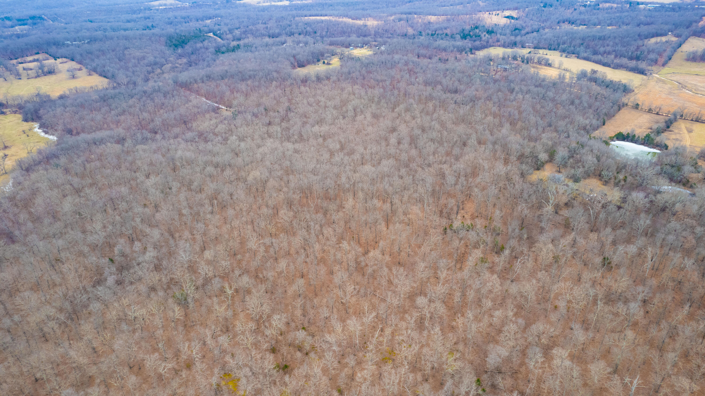 main property photo 88