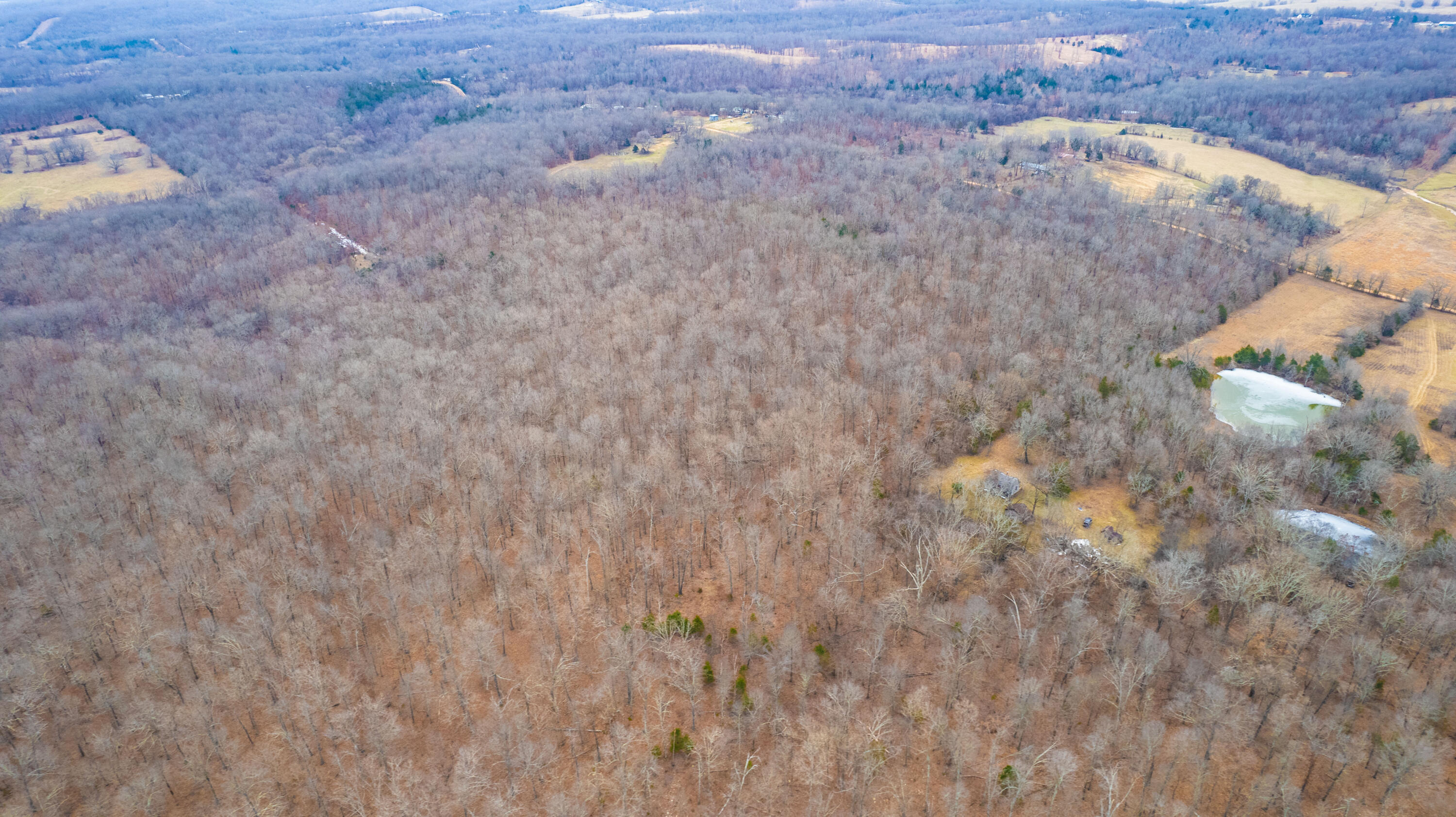 main property photo 89