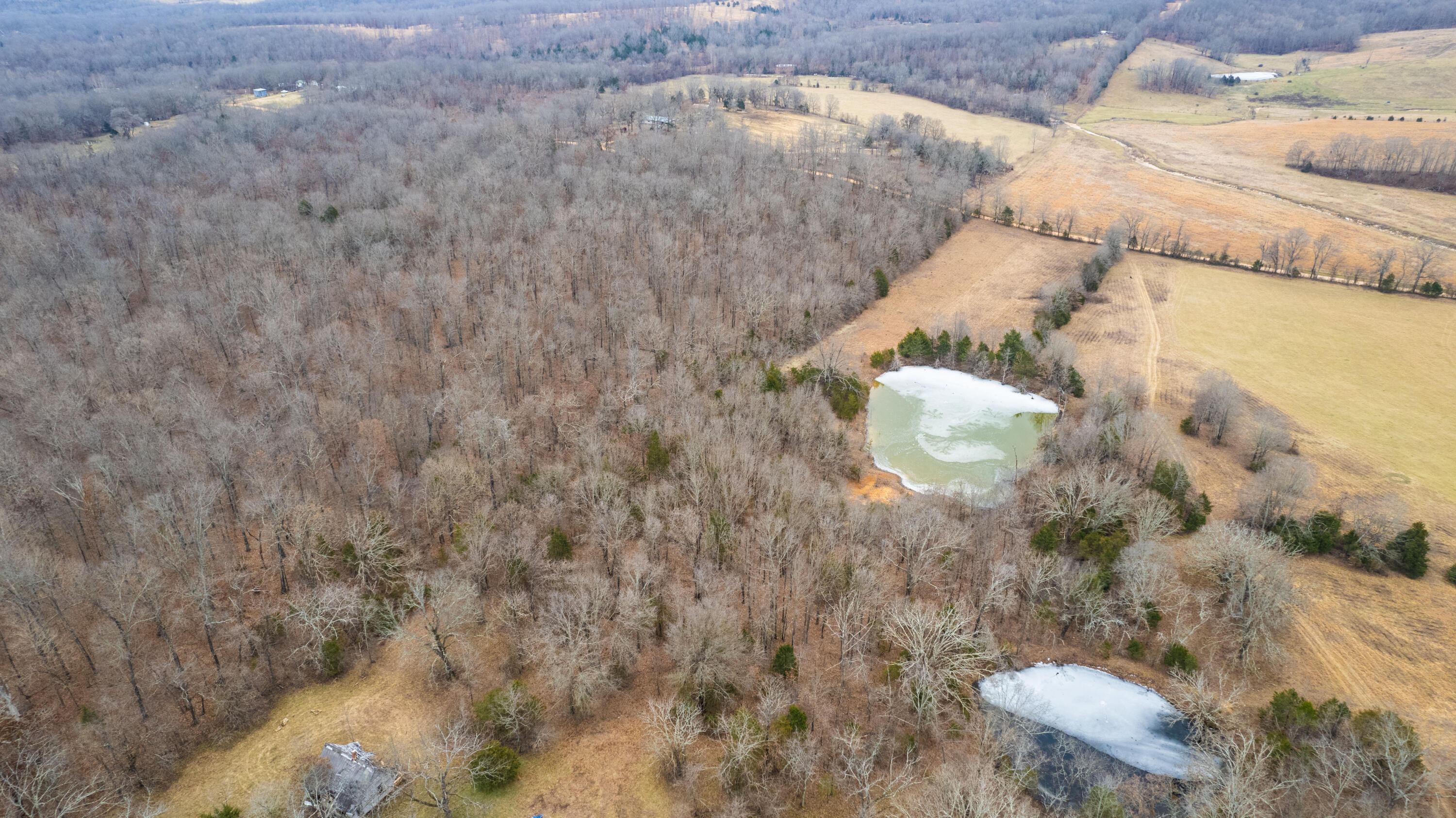 main property photo 92