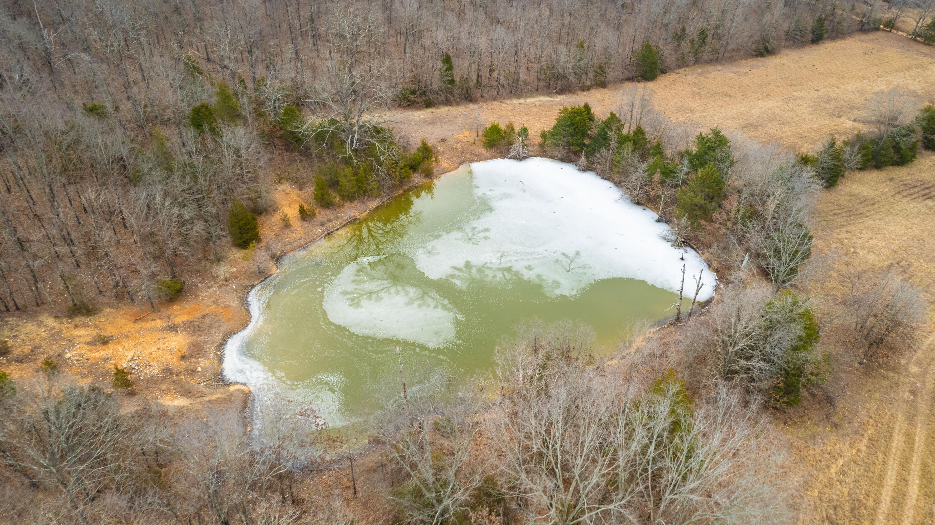 main property photo 94