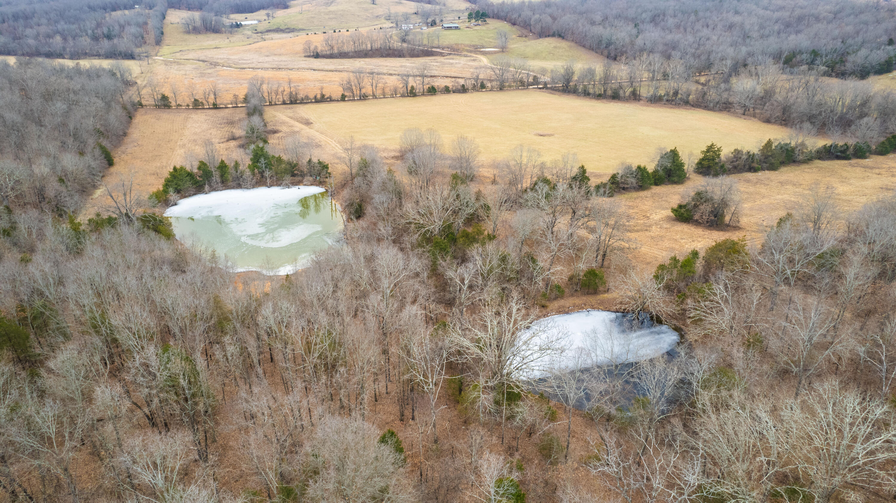 main property photo 95