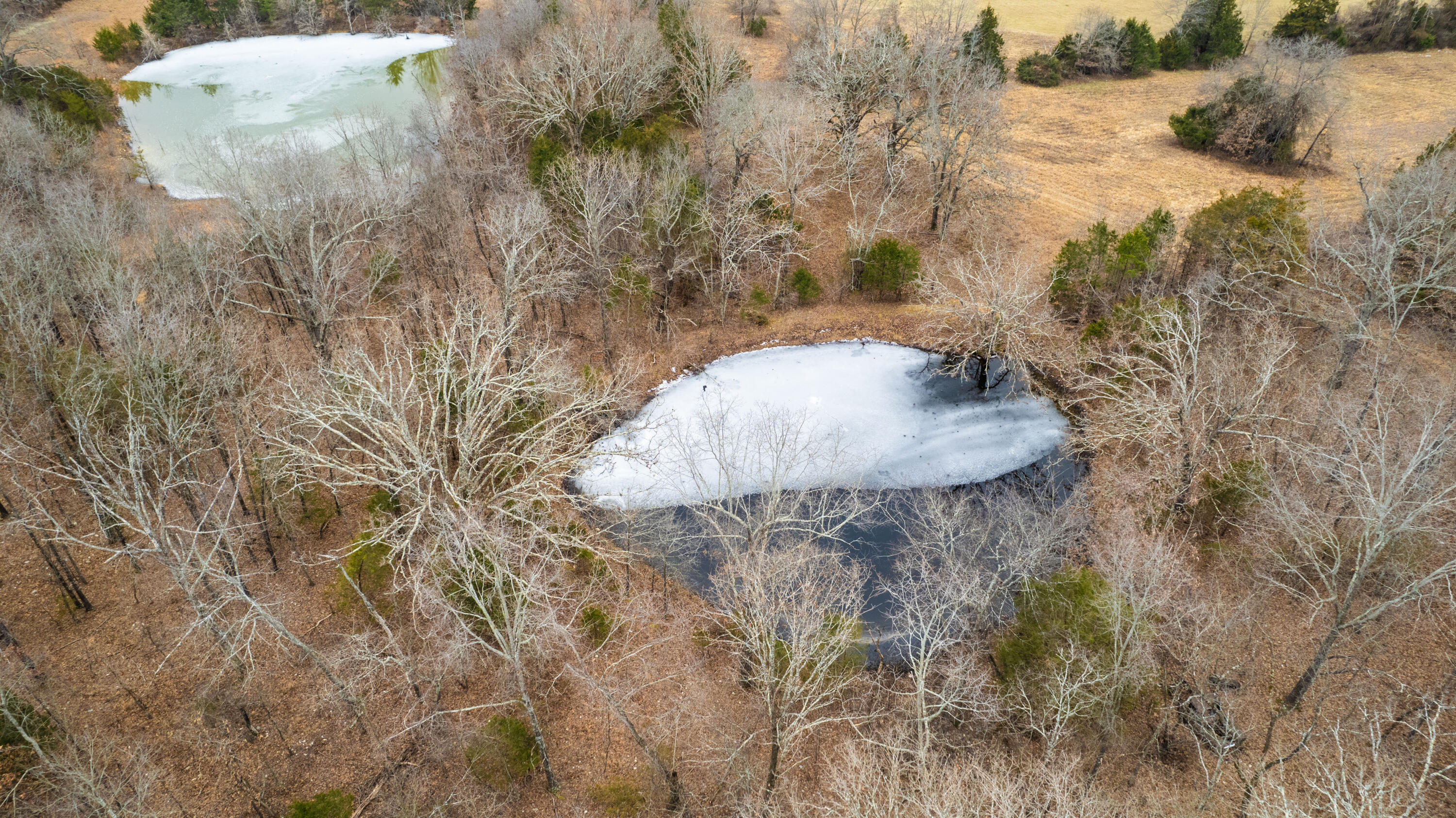 main property photo 96