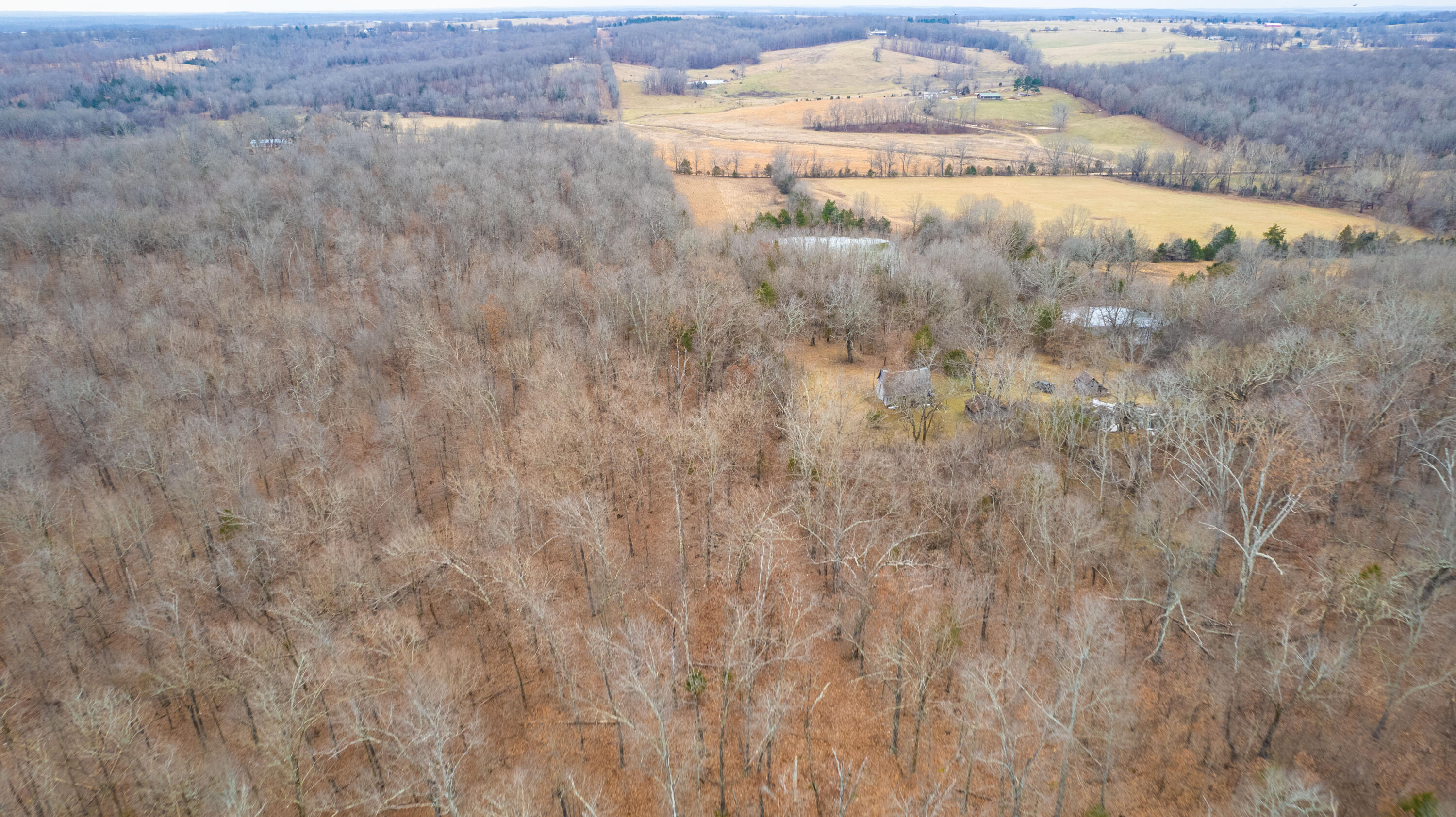 main property photo 97
