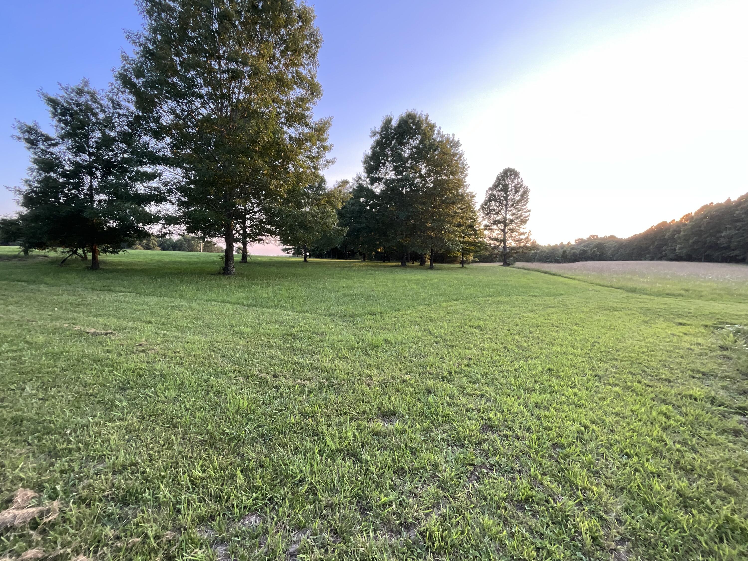 main property photo 88