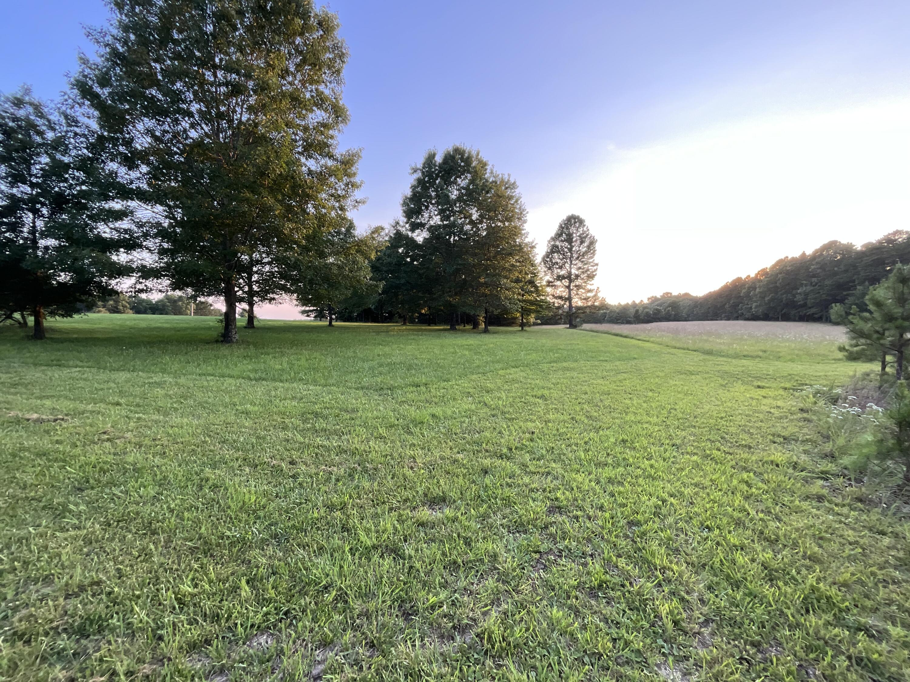 main property photo 89