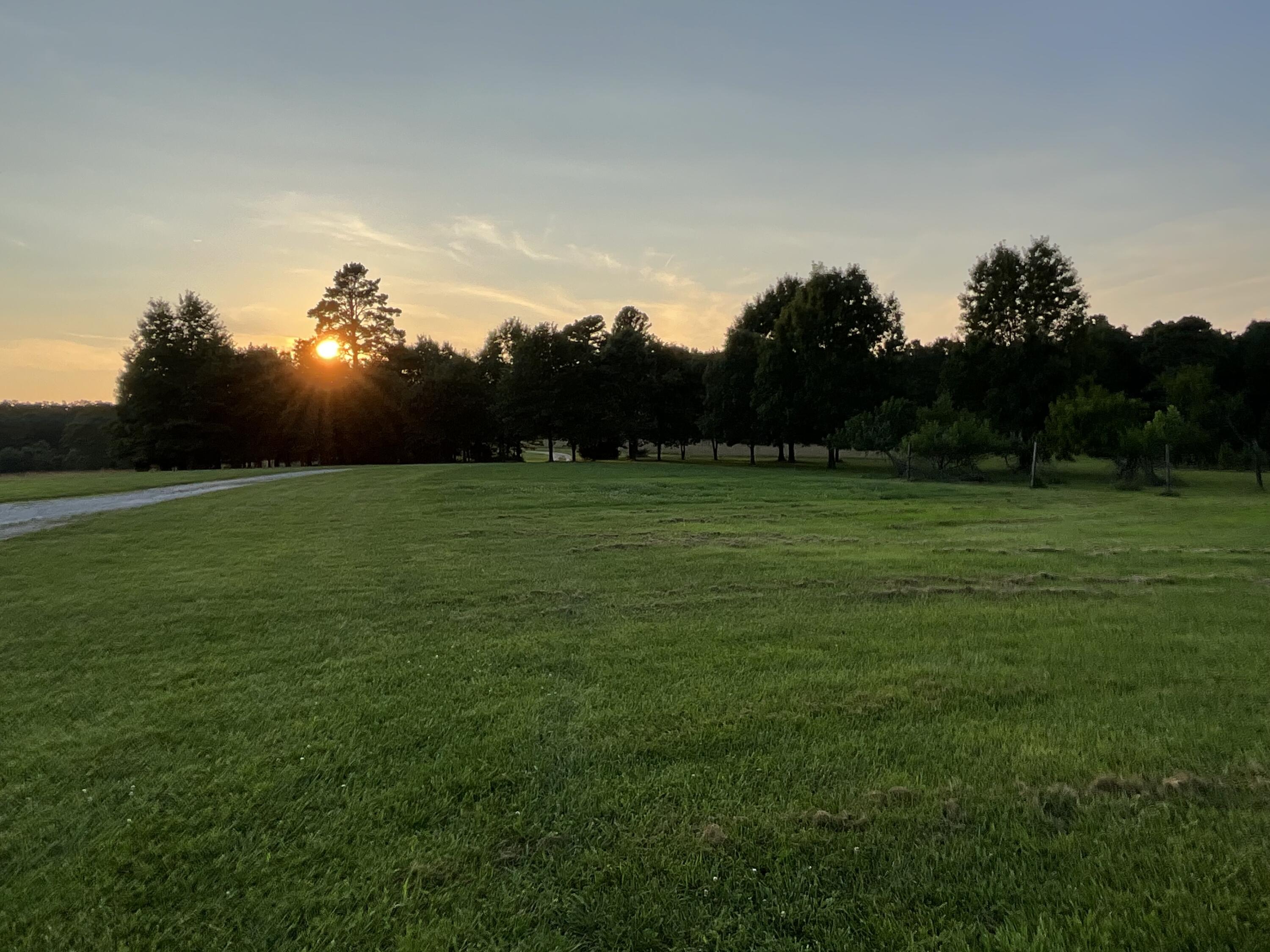 main property photo 90