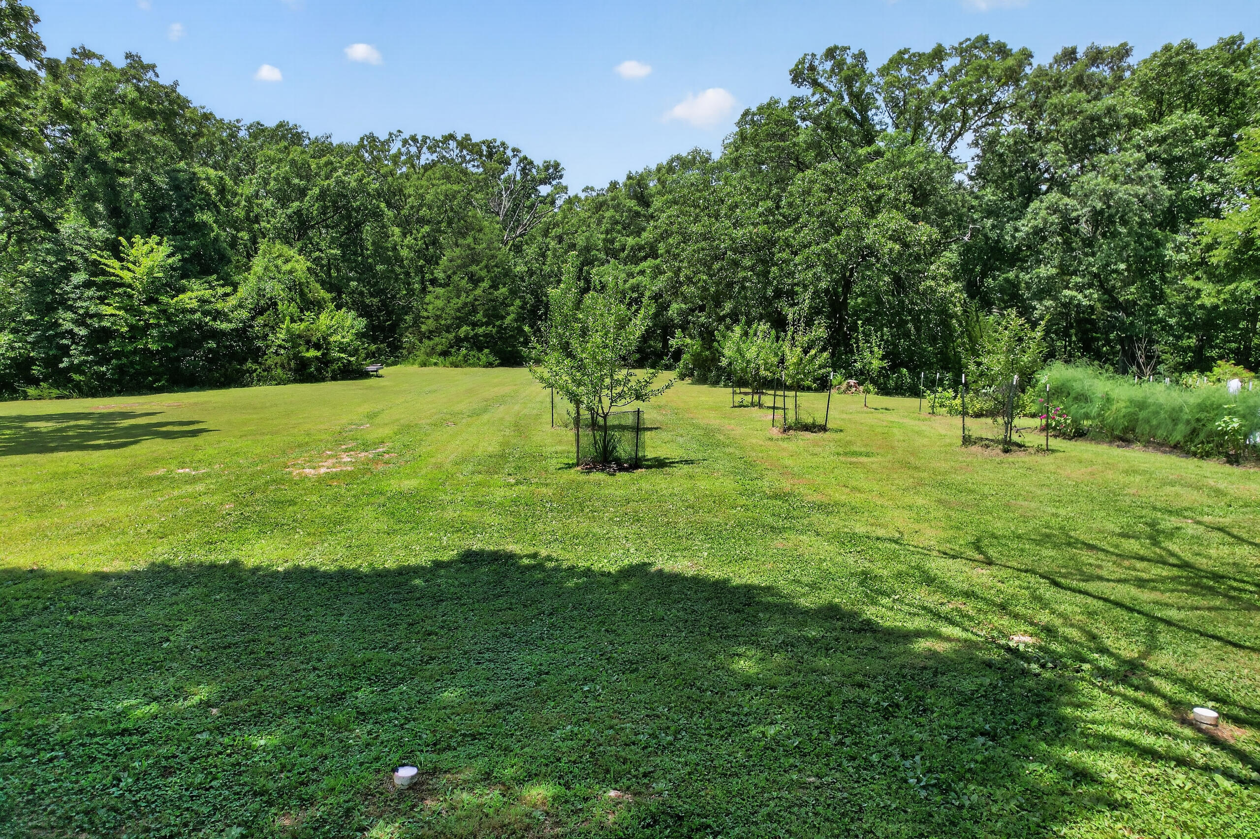 main property photo 117