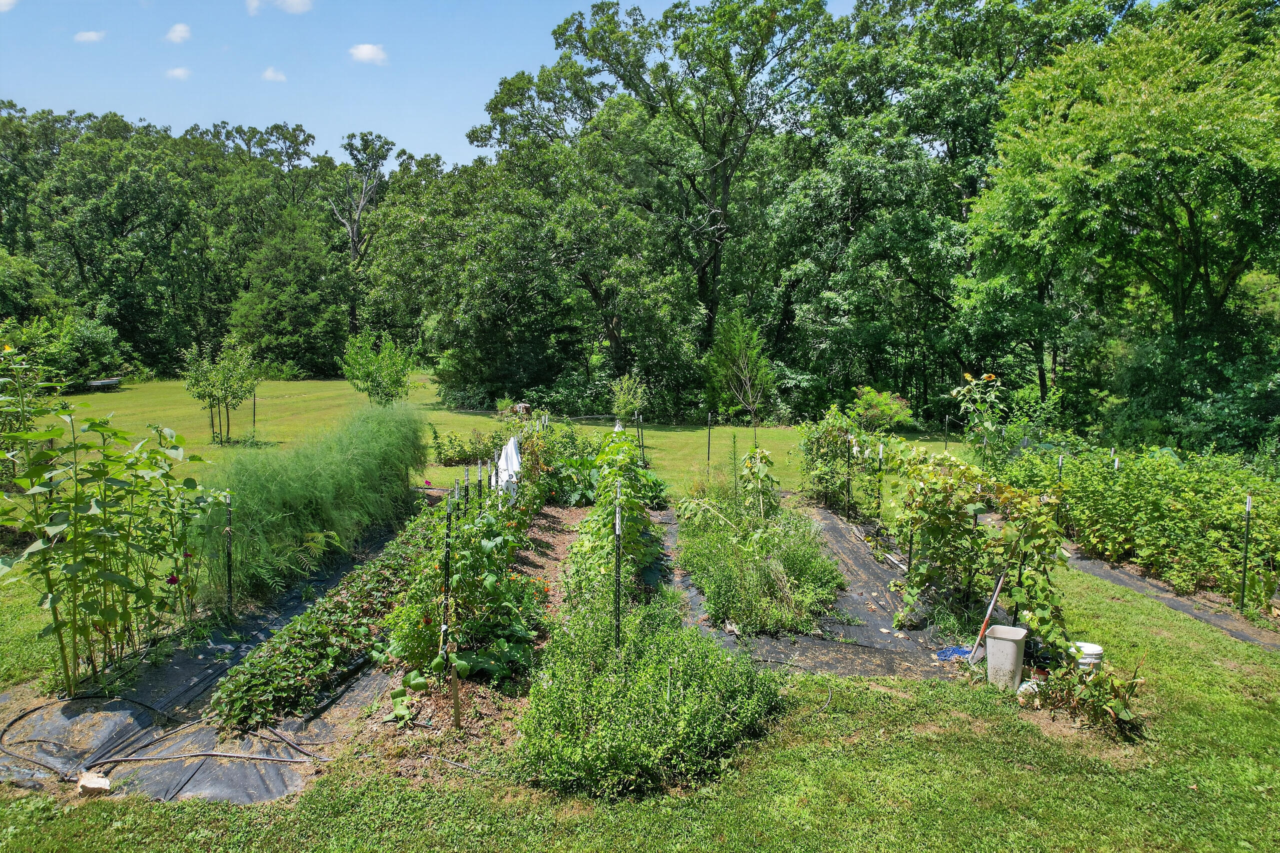 main property photo 118