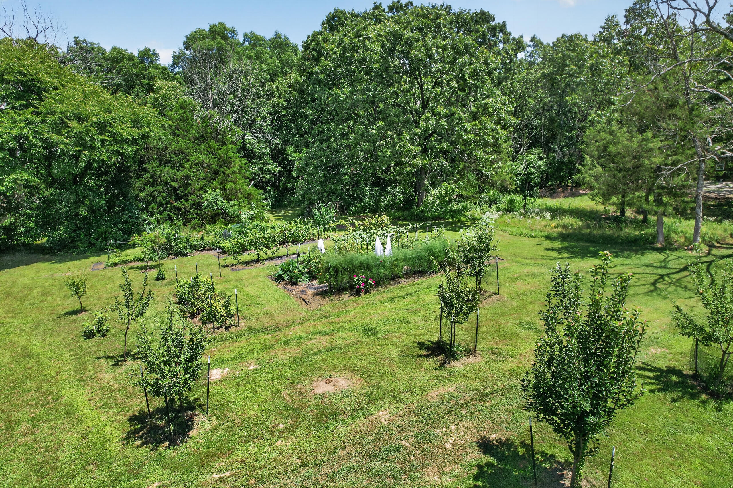 main property photo 119