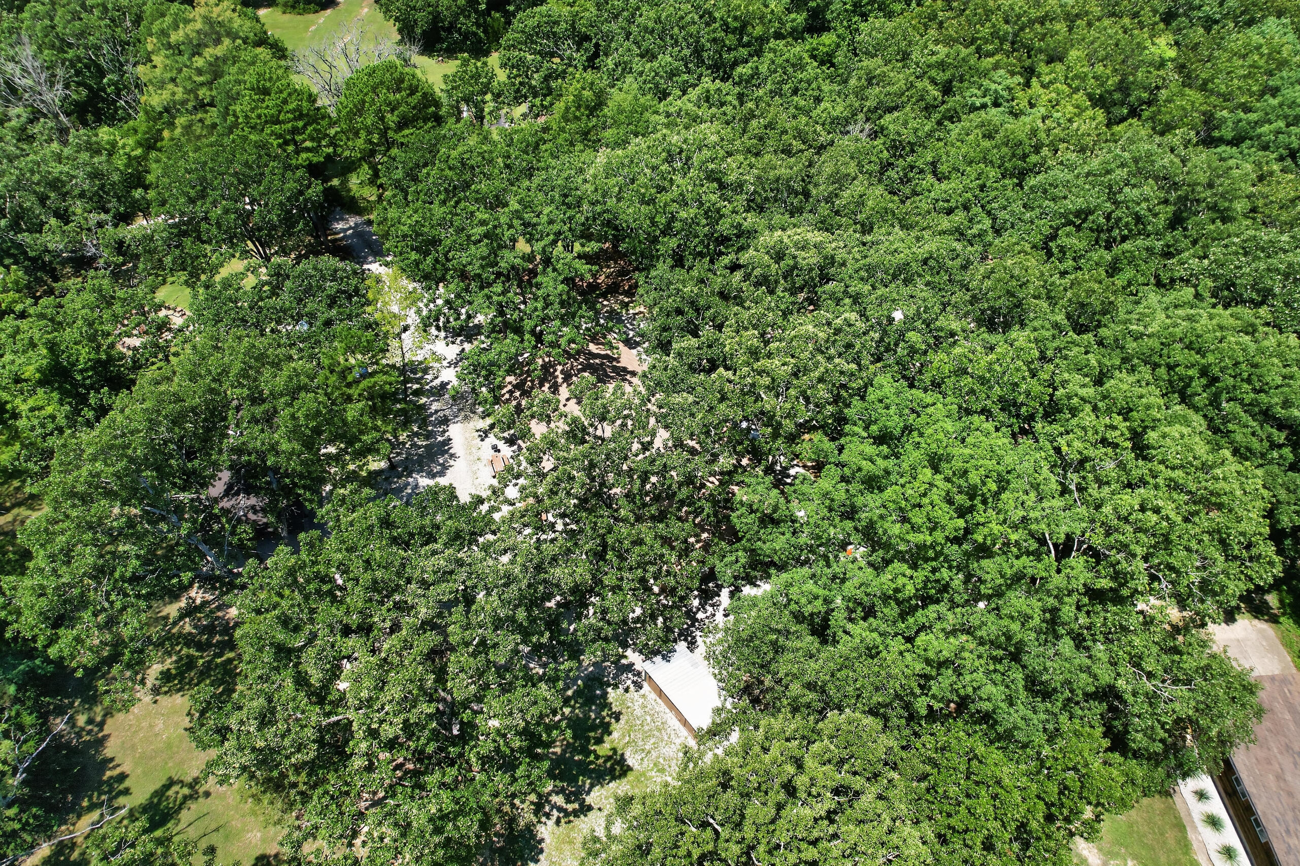 main property photo 120