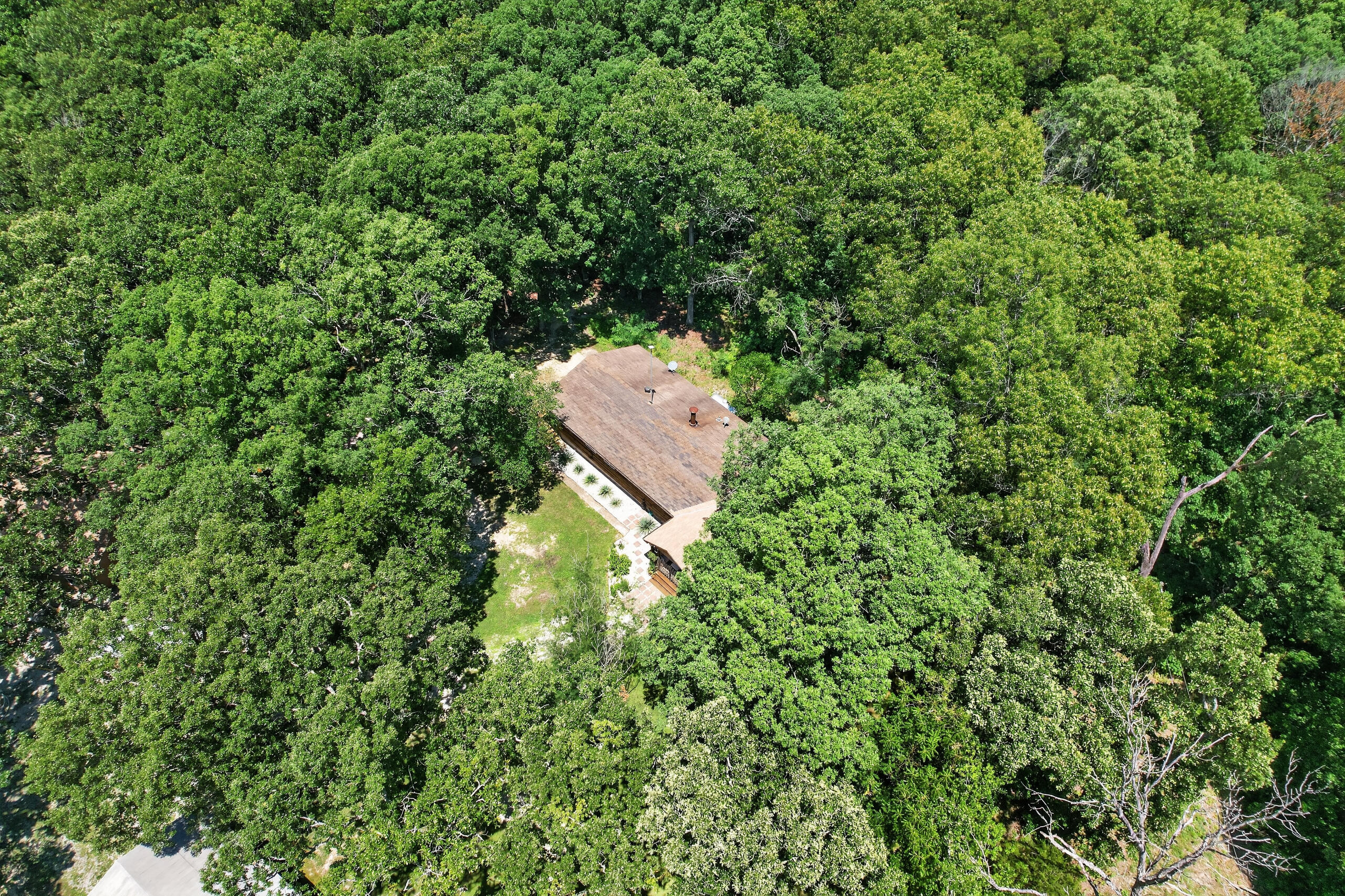main property photo 134