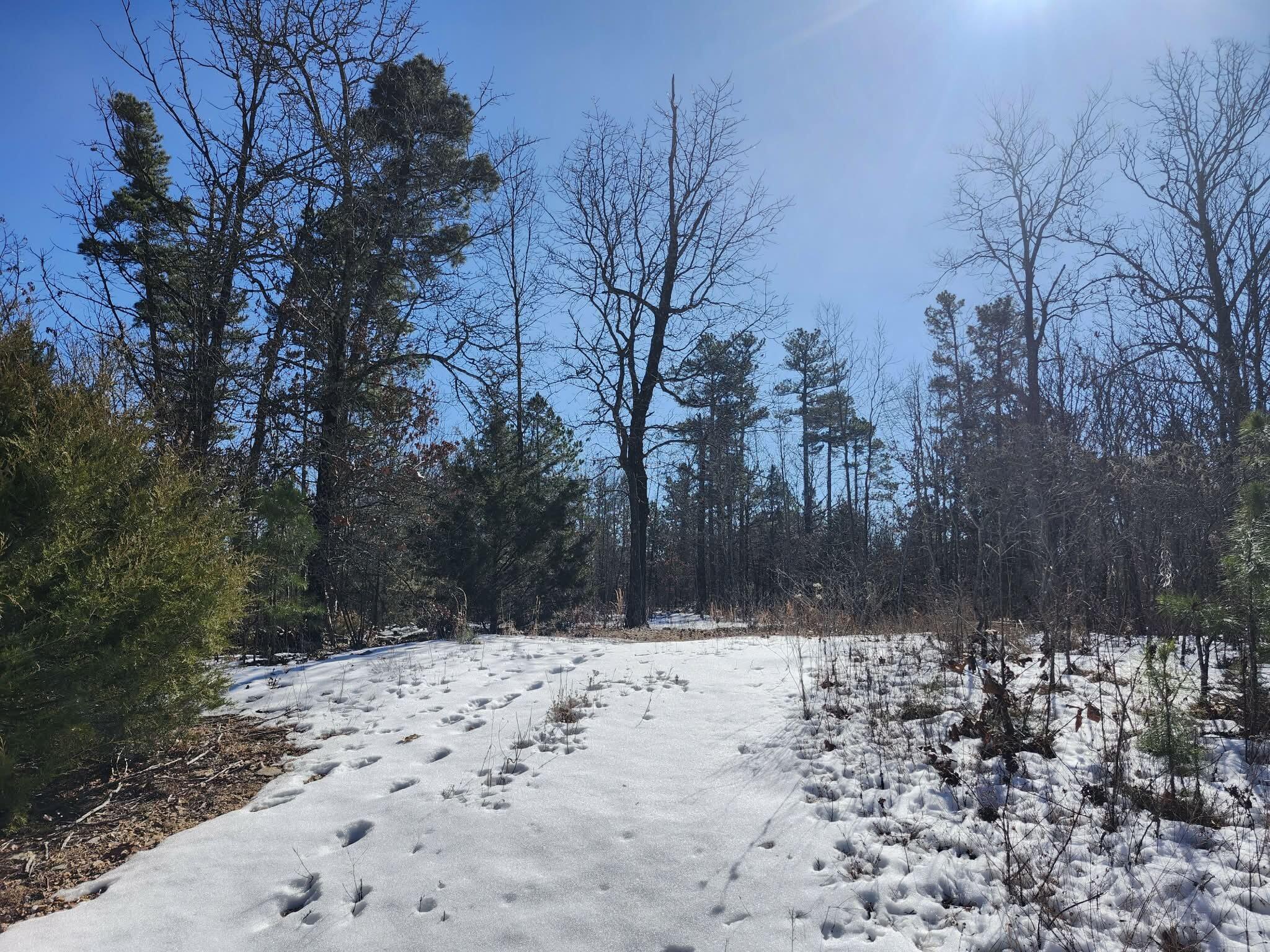 main property photo 0