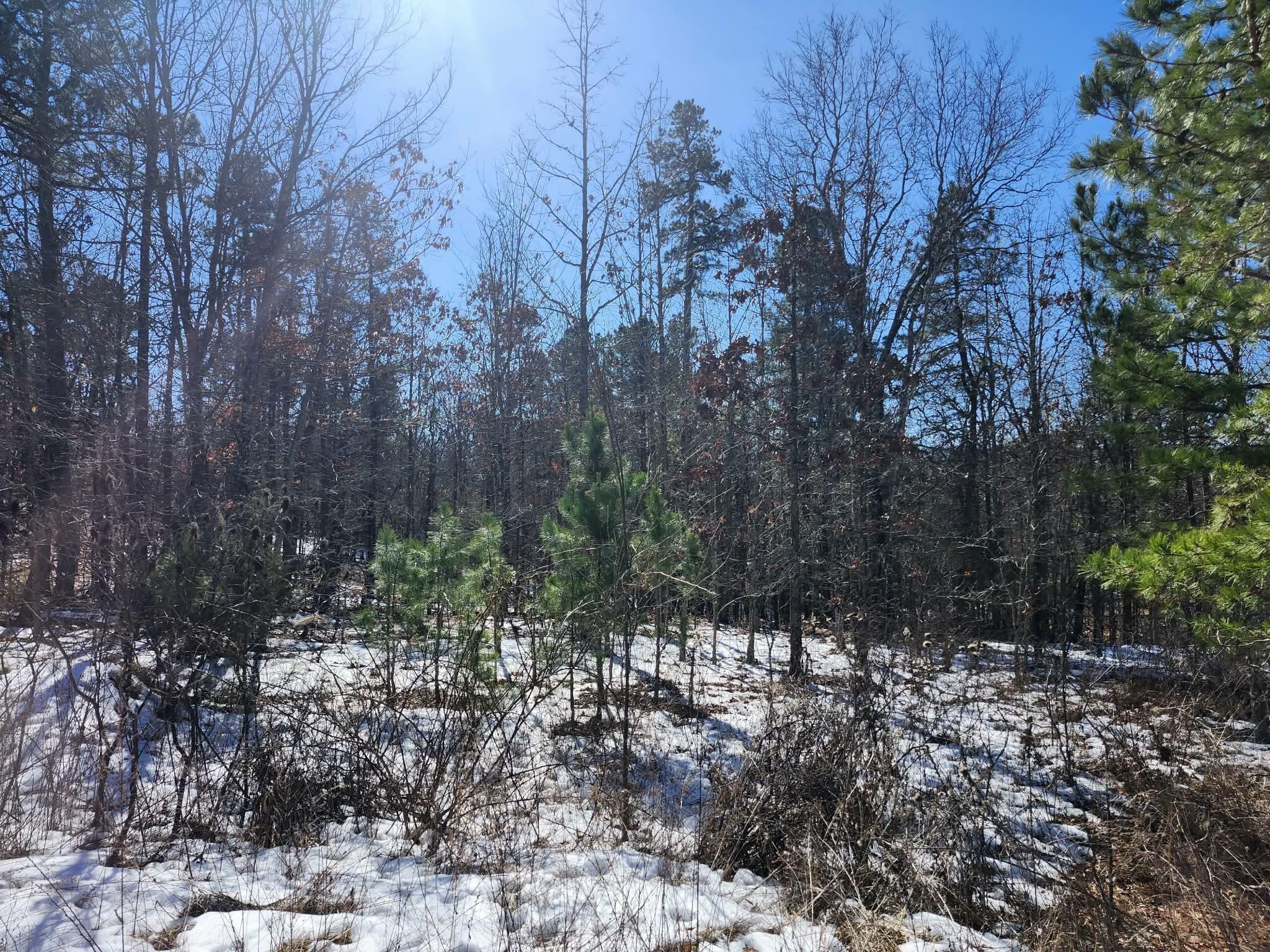 main property photo 10