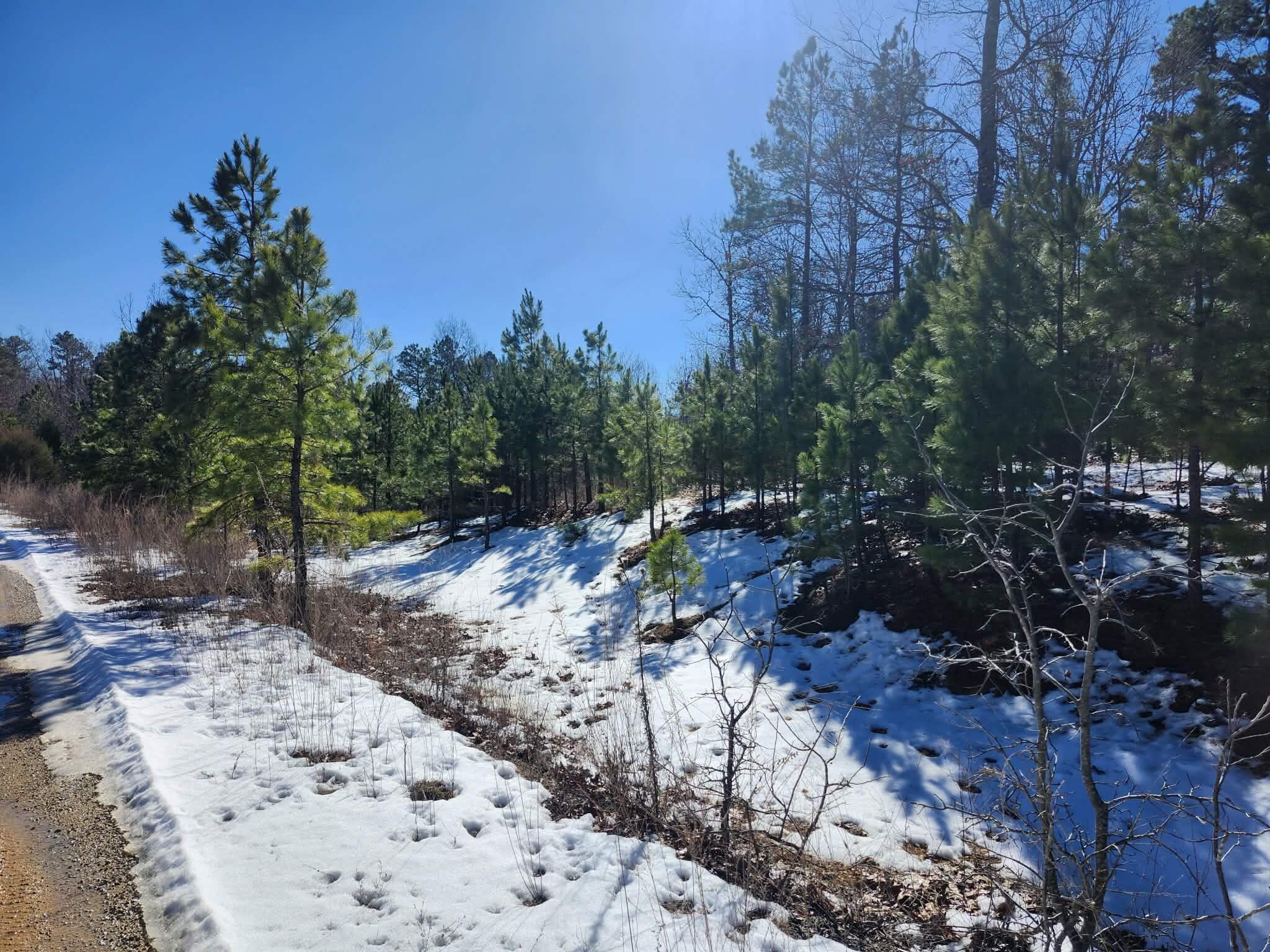 main property photo 7