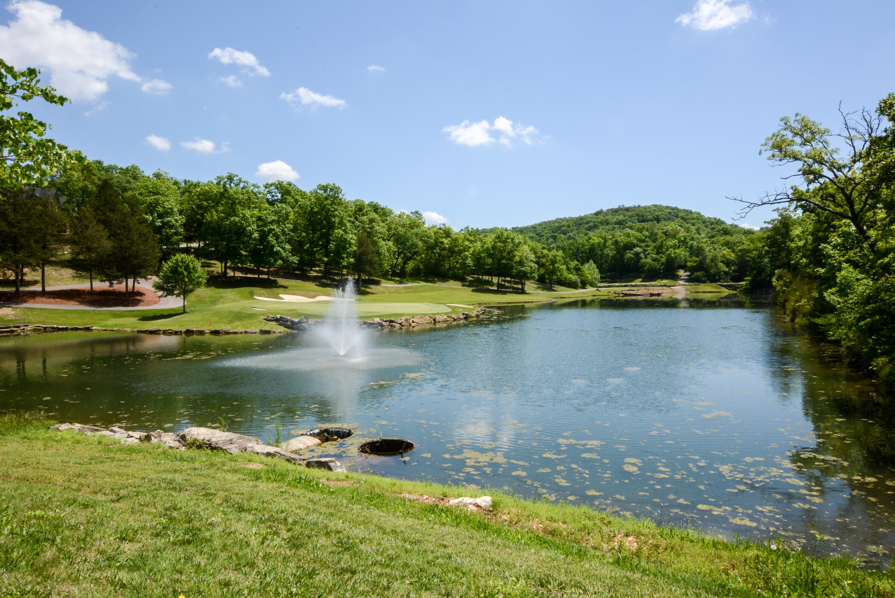 main property photo 41