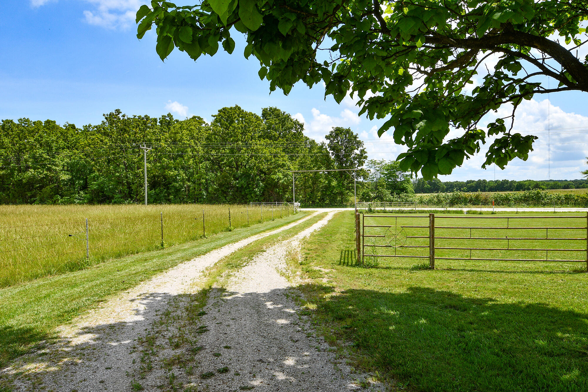 main property photo 51