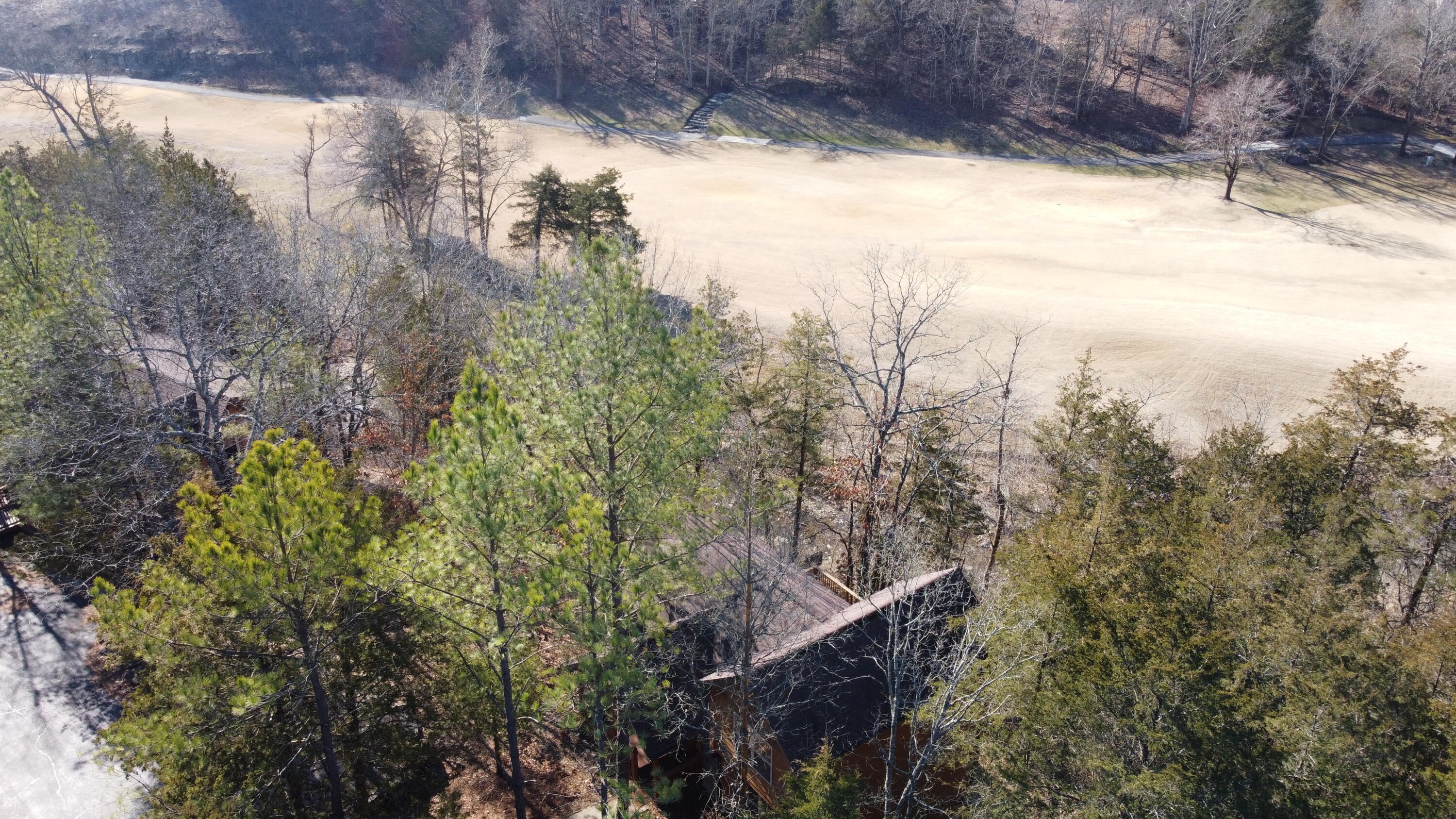main property photo 42