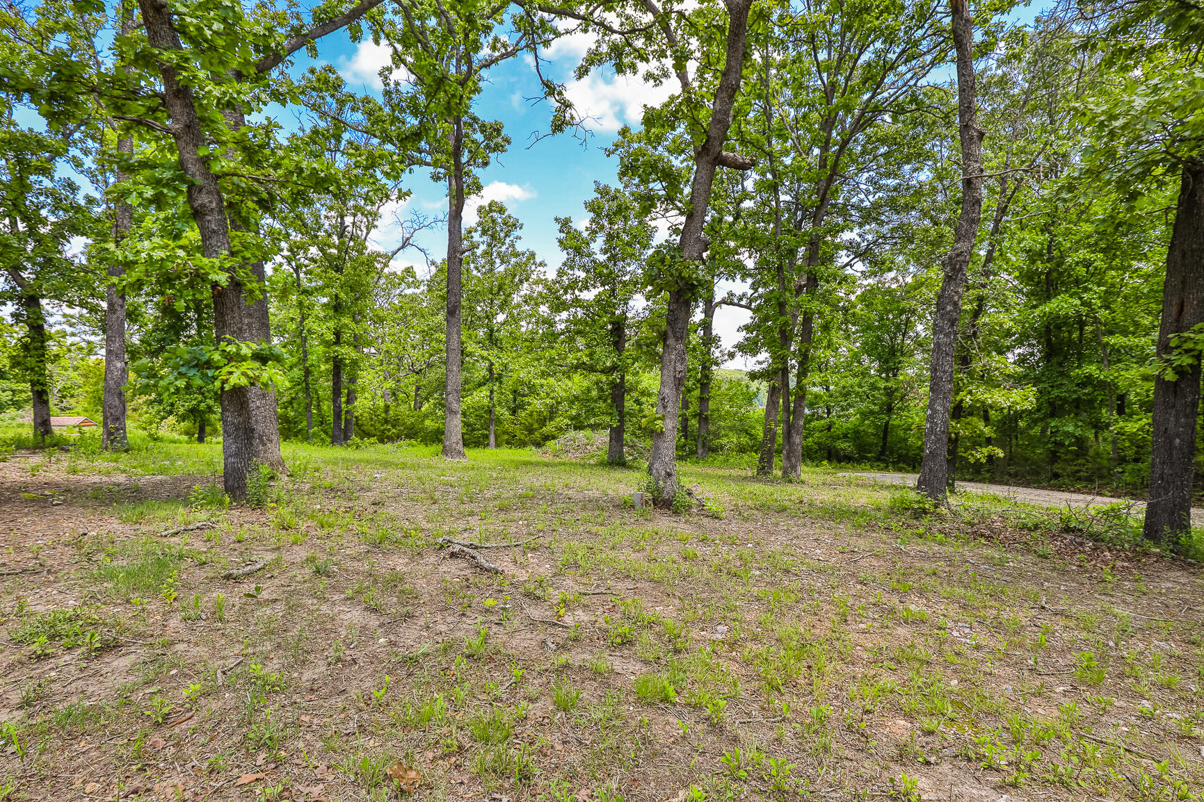 main property photo 30