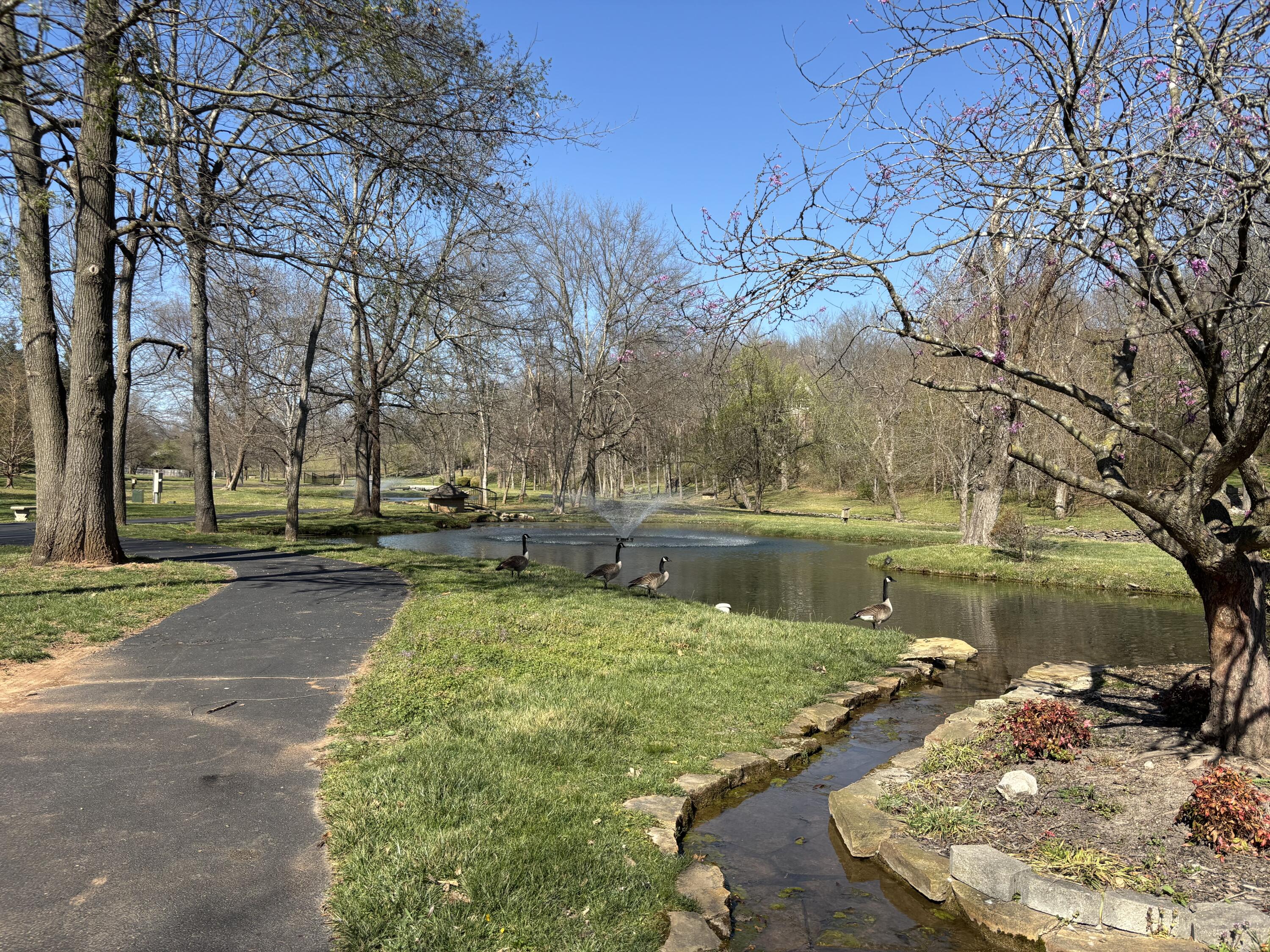 main property photo 86