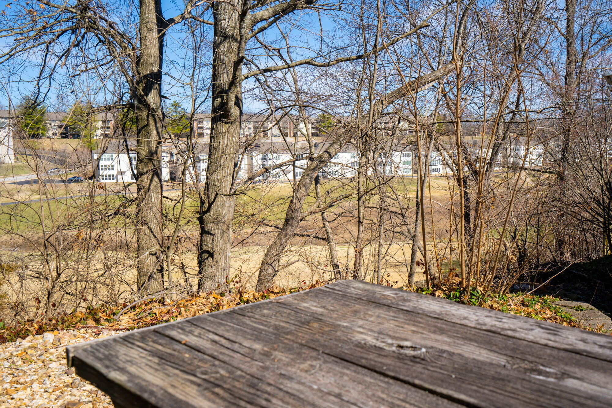 main property photo 72