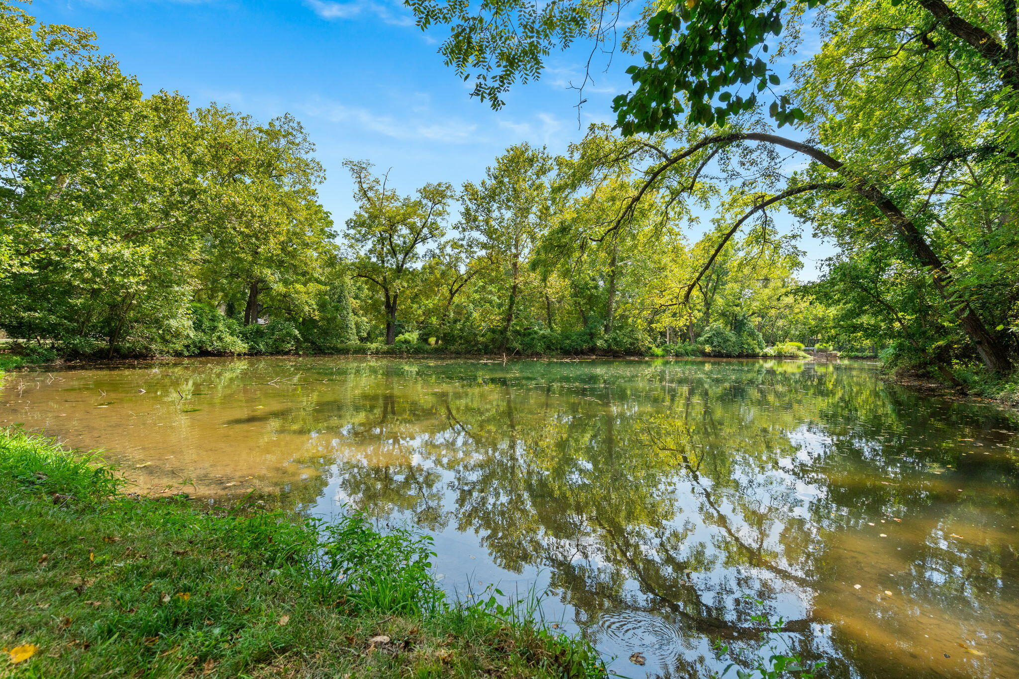 main property photo 14