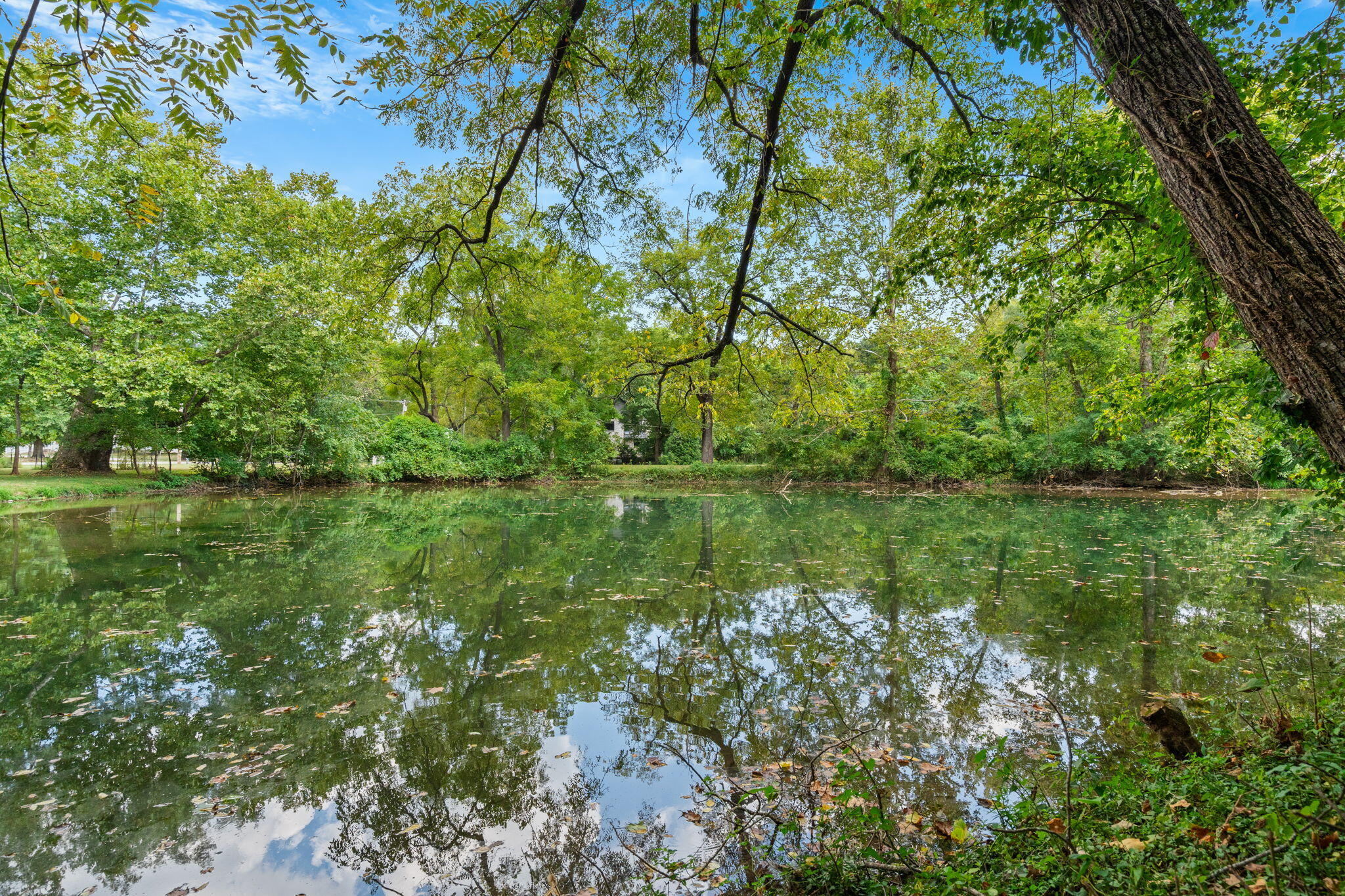 main property photo 29