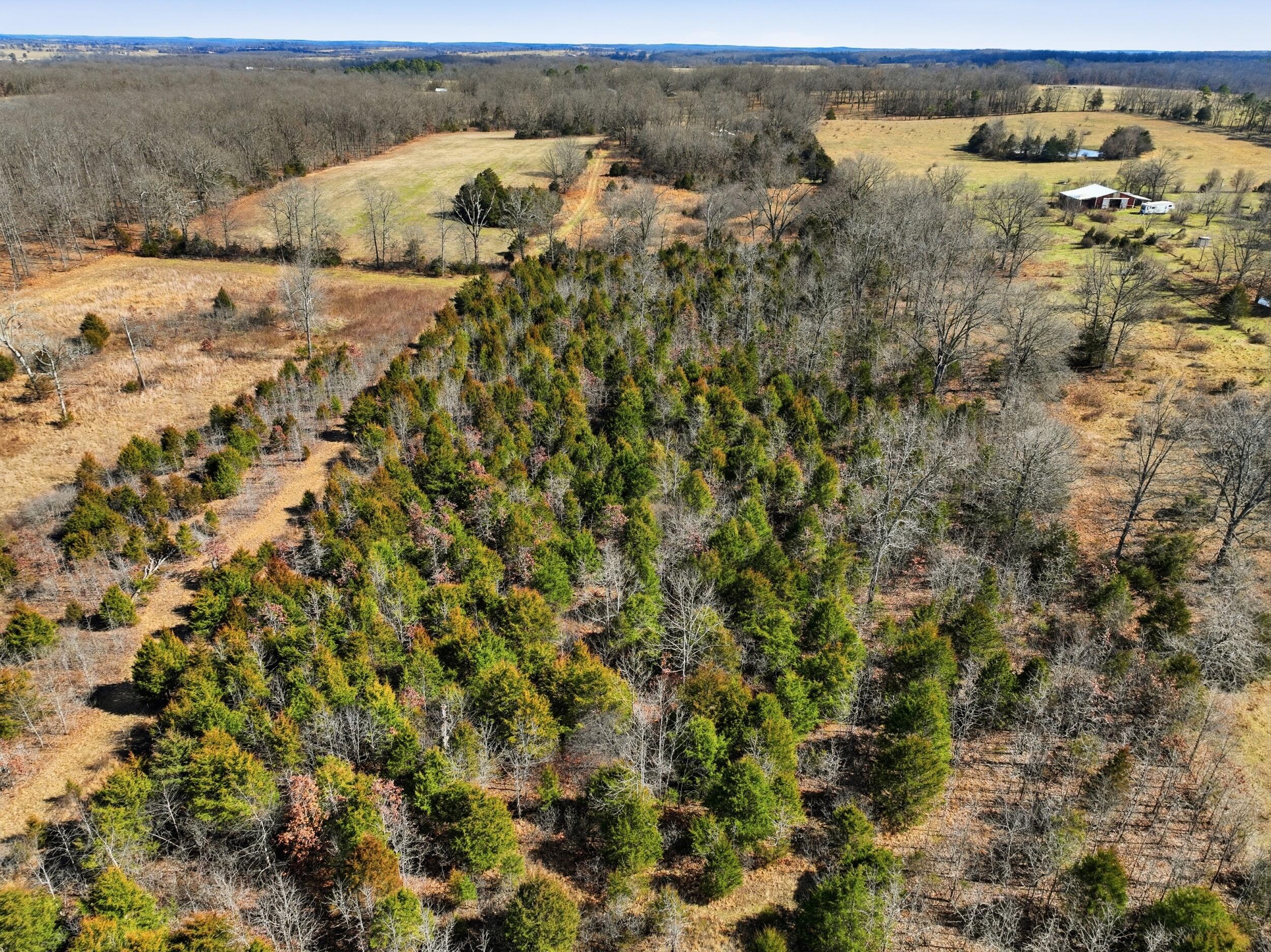 main property photo 24