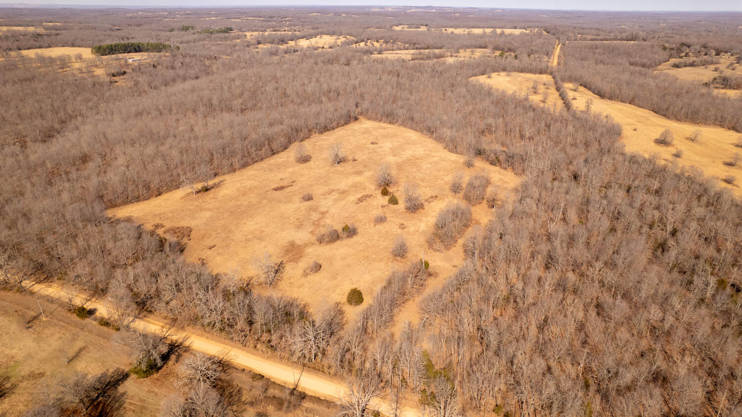 main property photo 14