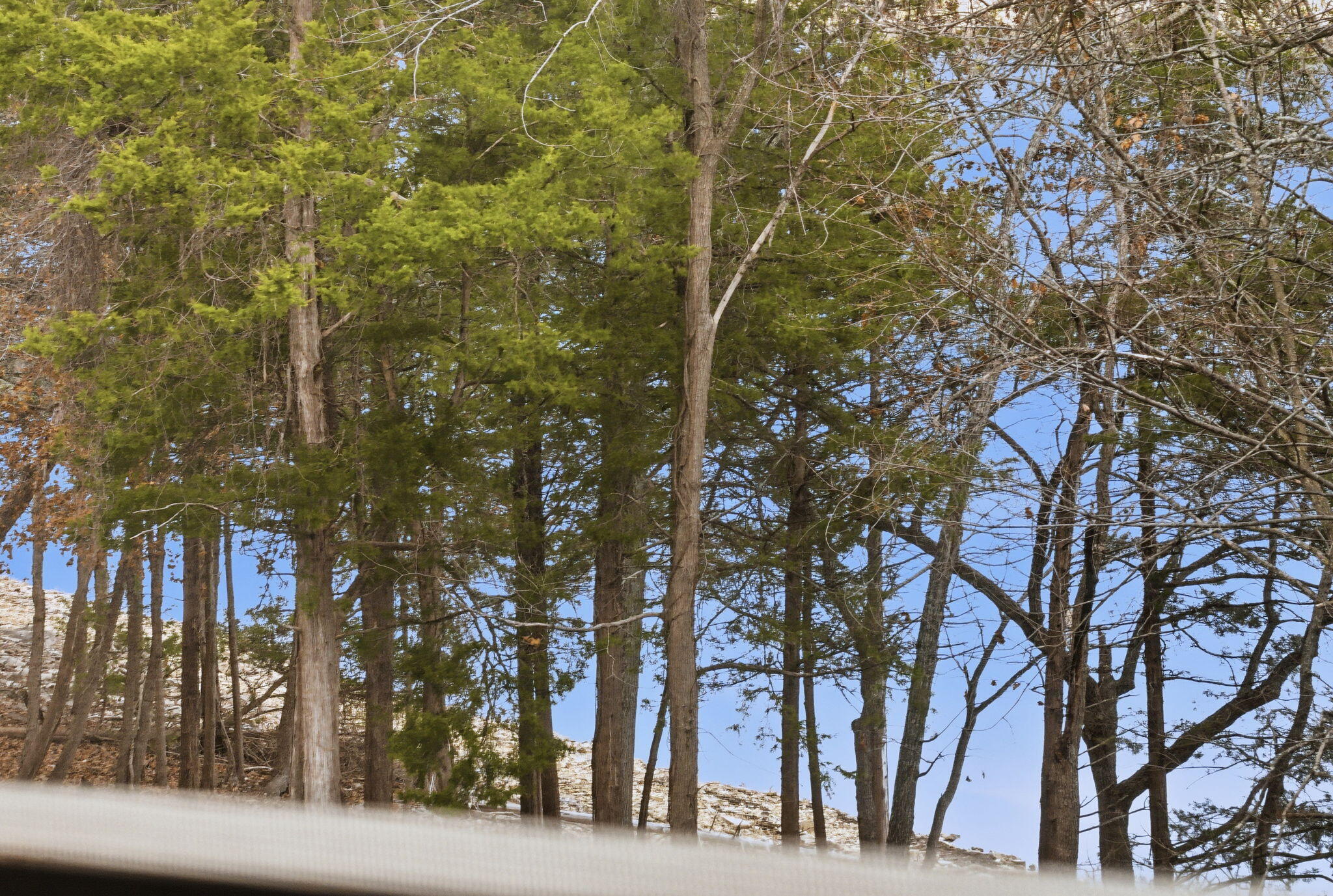 main property photo 27