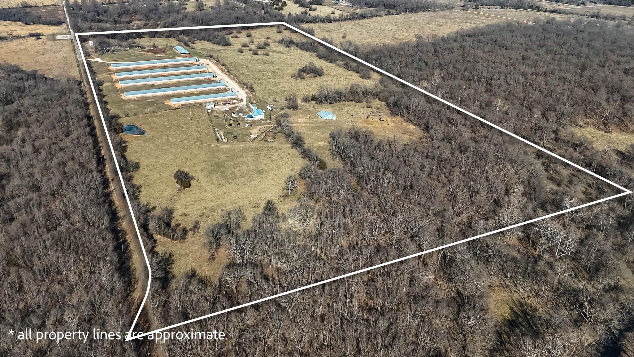 main property photo 49