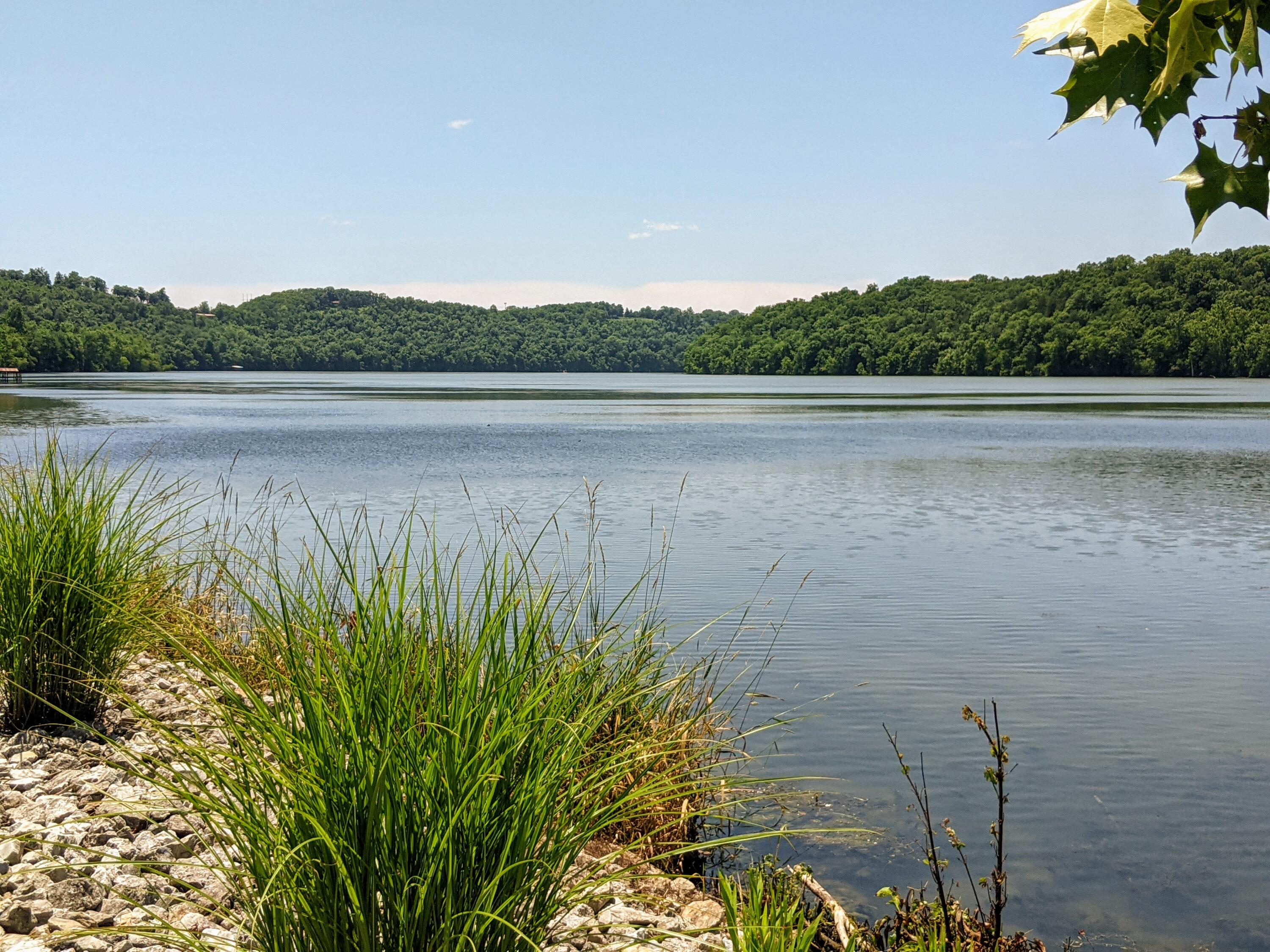 main property photo 73