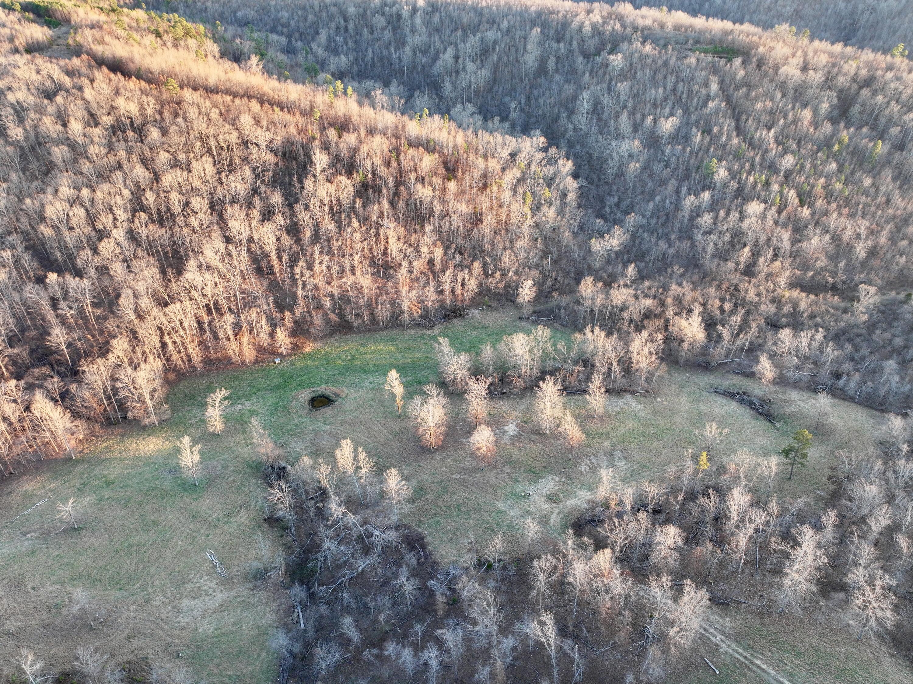 main property photo 50