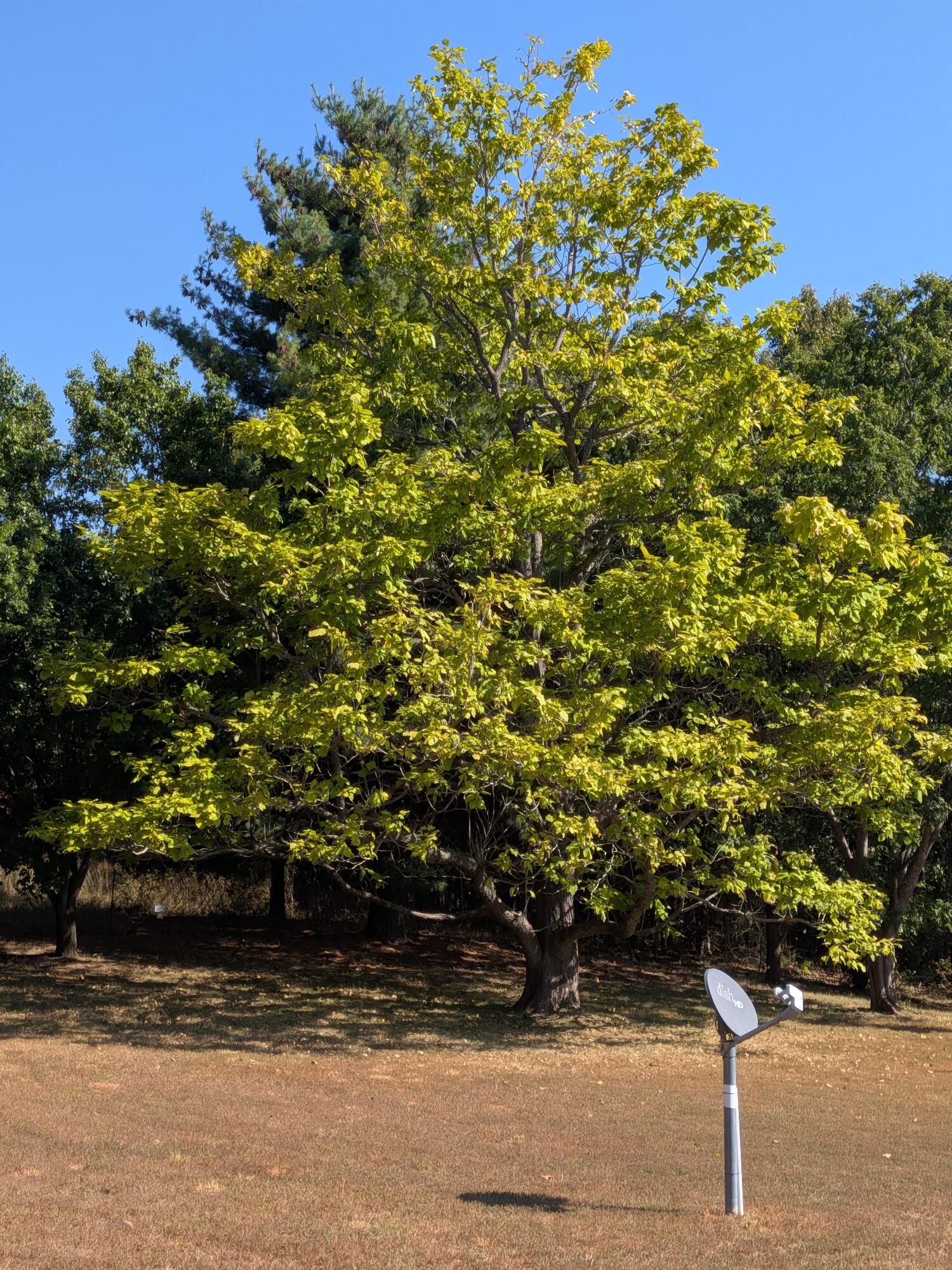 main property photo 46