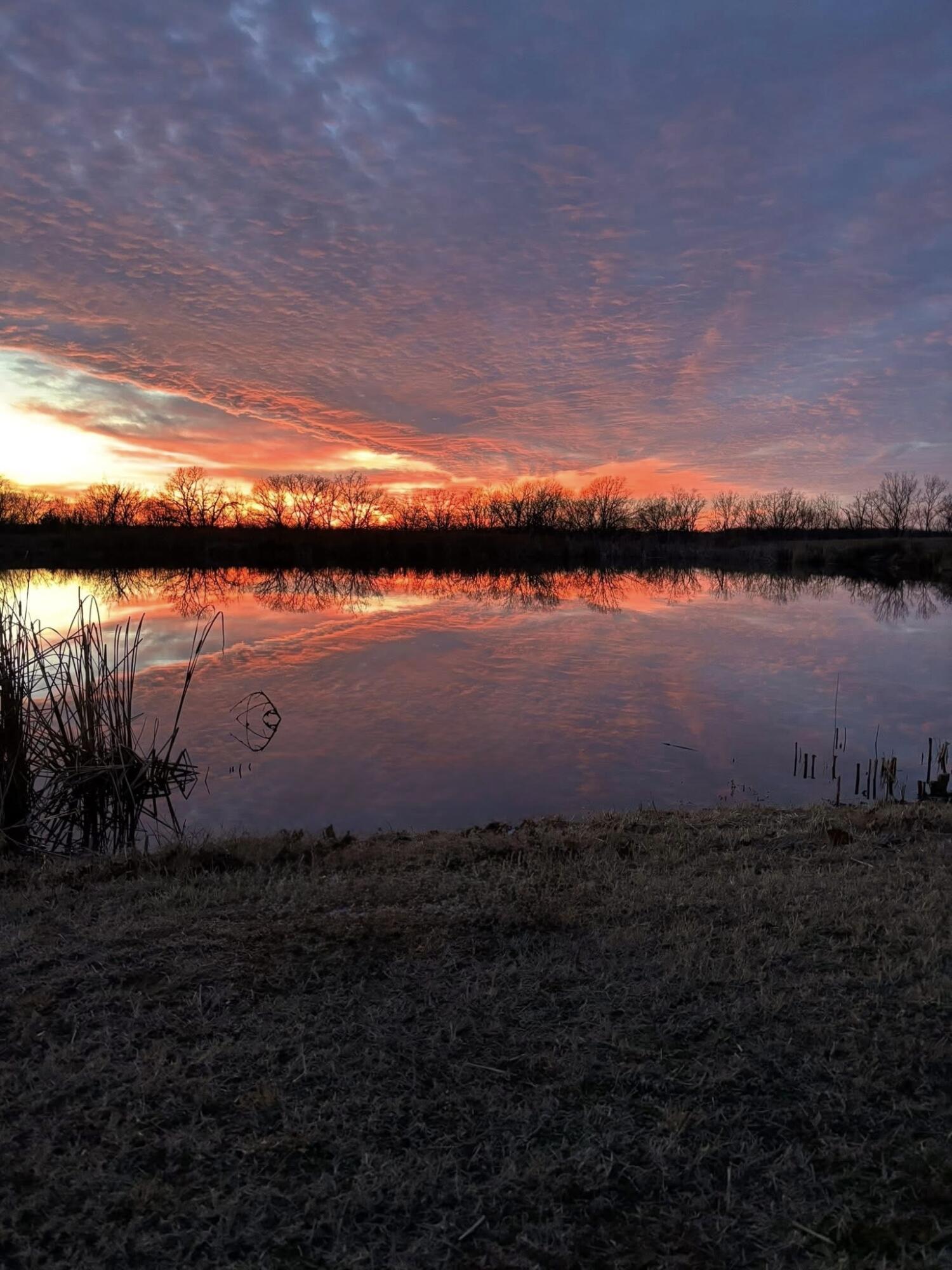 main property photo 56