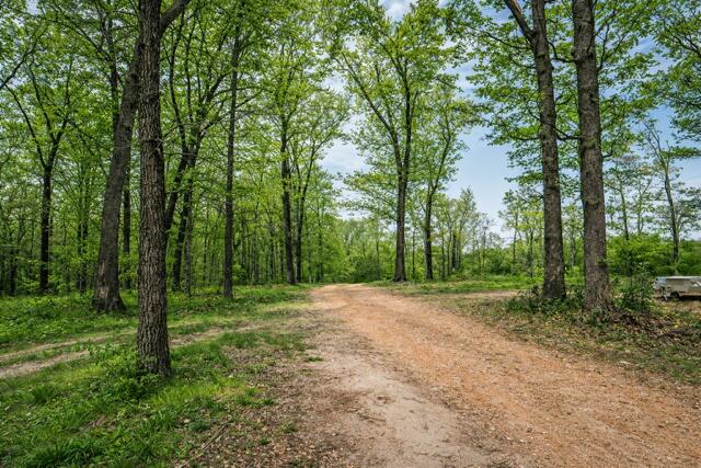 main property photo 33