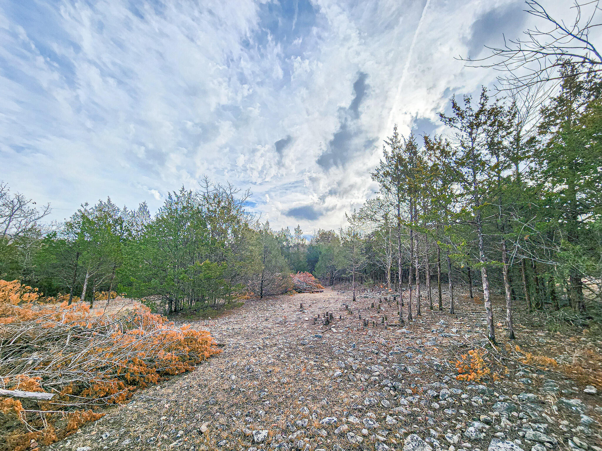 main property photo 0