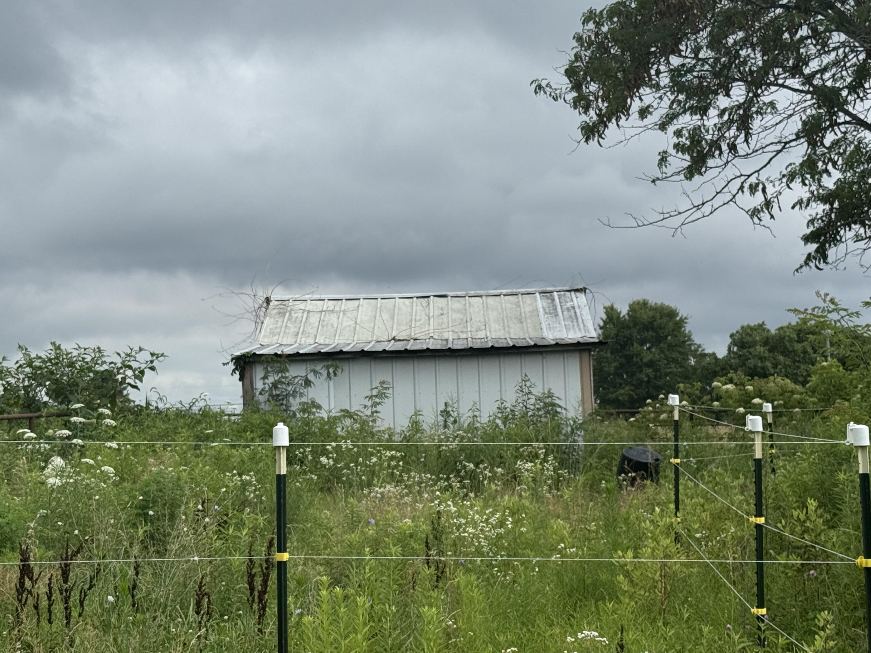 main property photo 69