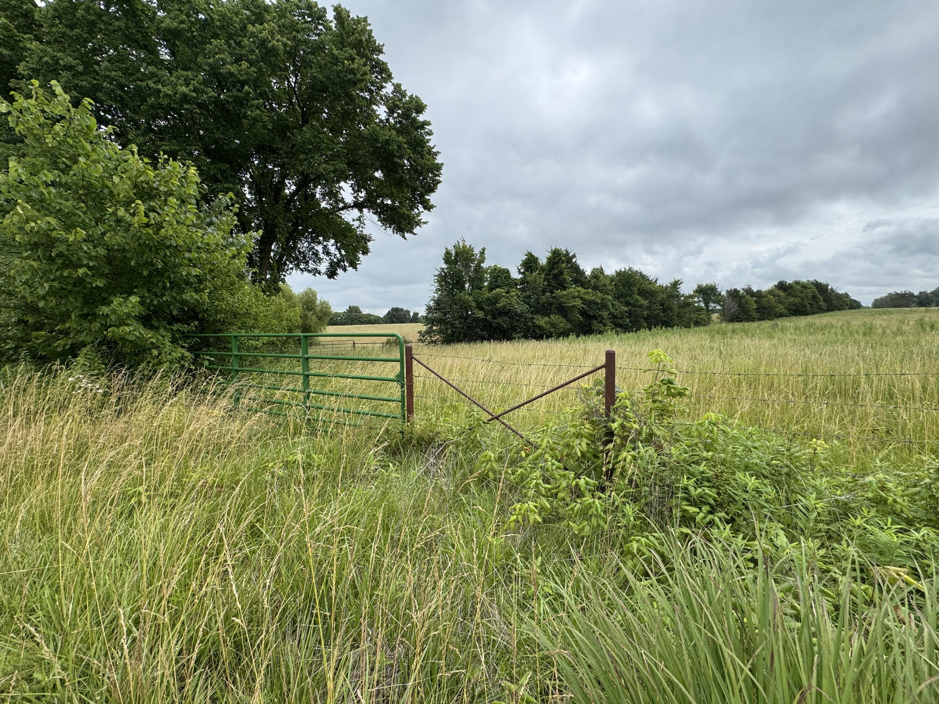 main property photo 77