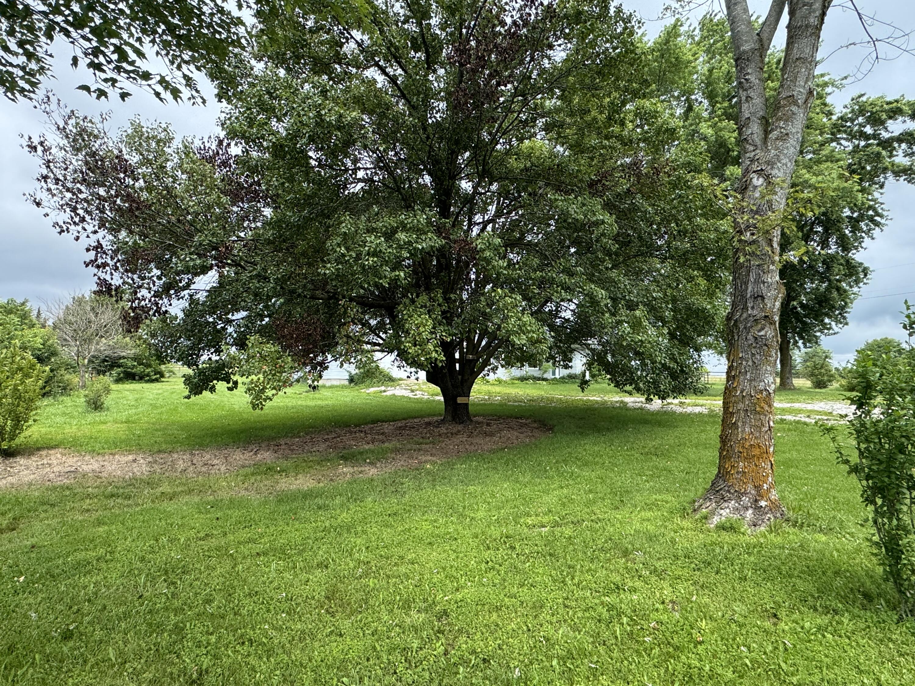 main property photo 83
