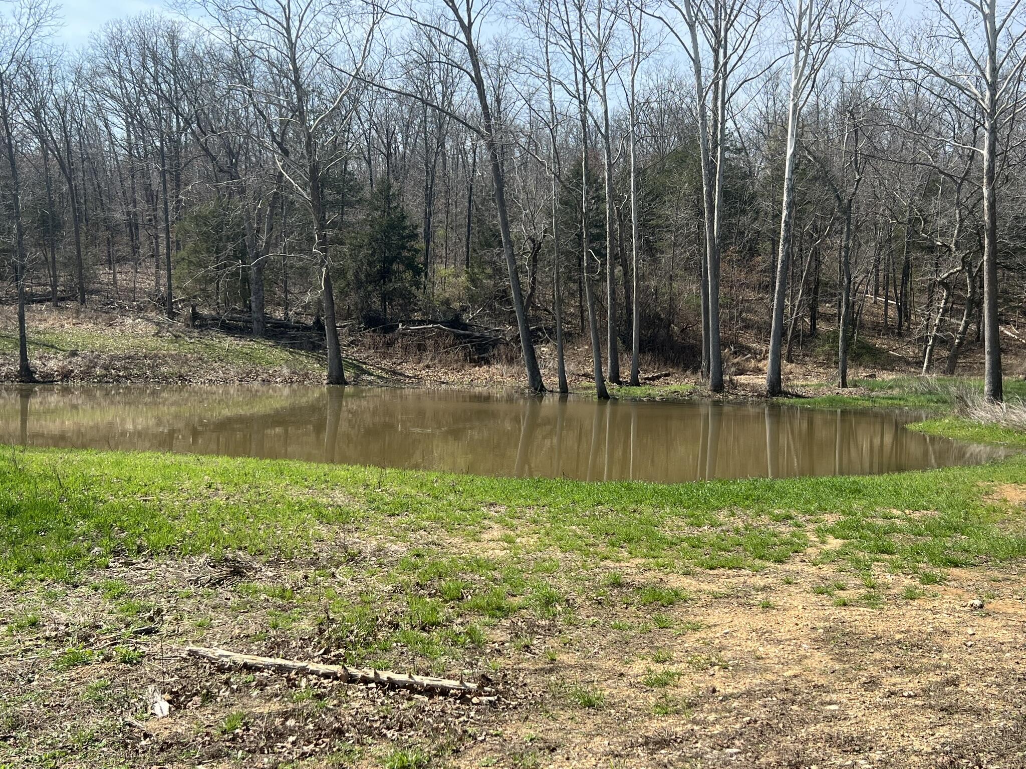 main property photo 25