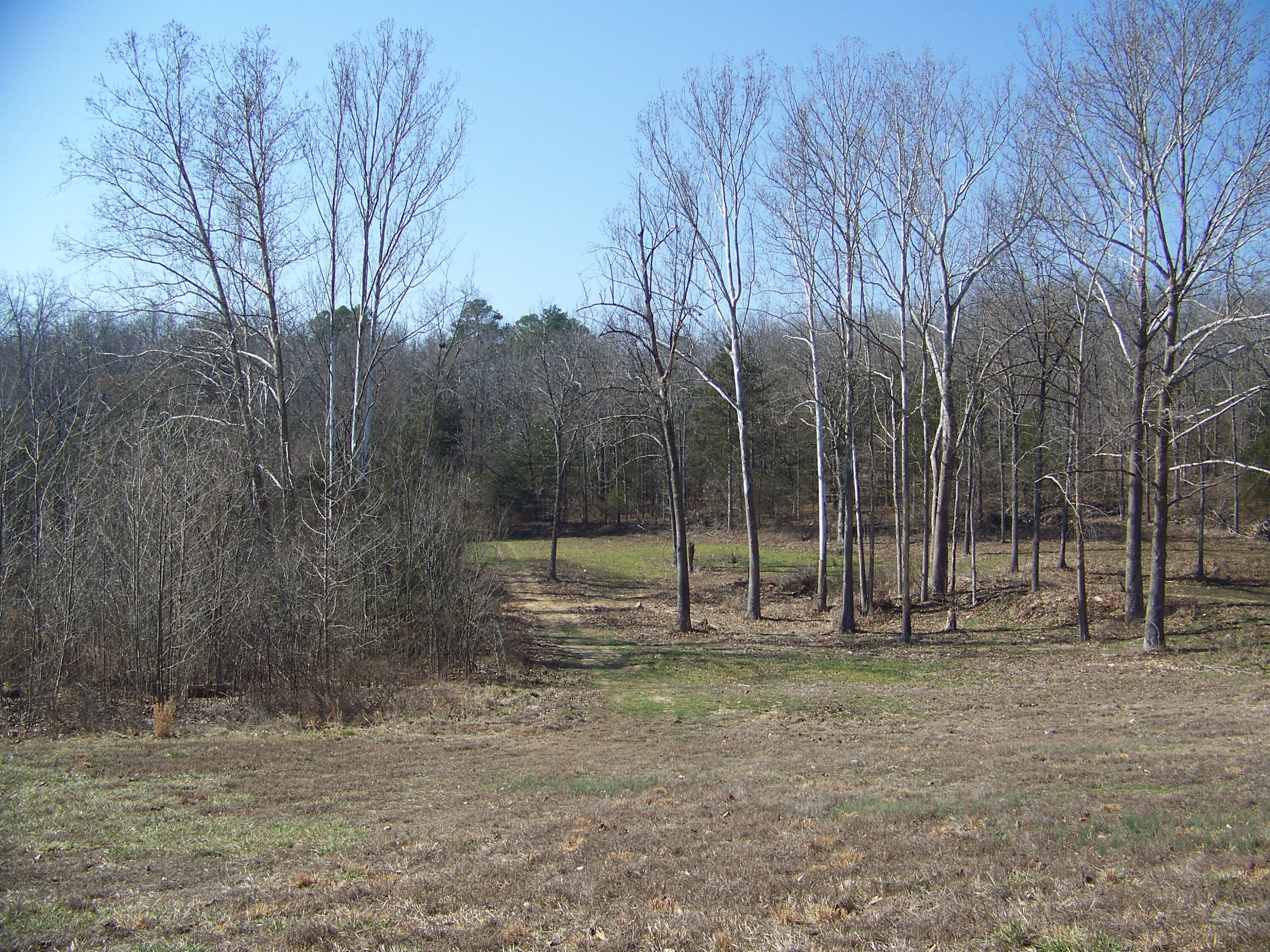 main property photo 51